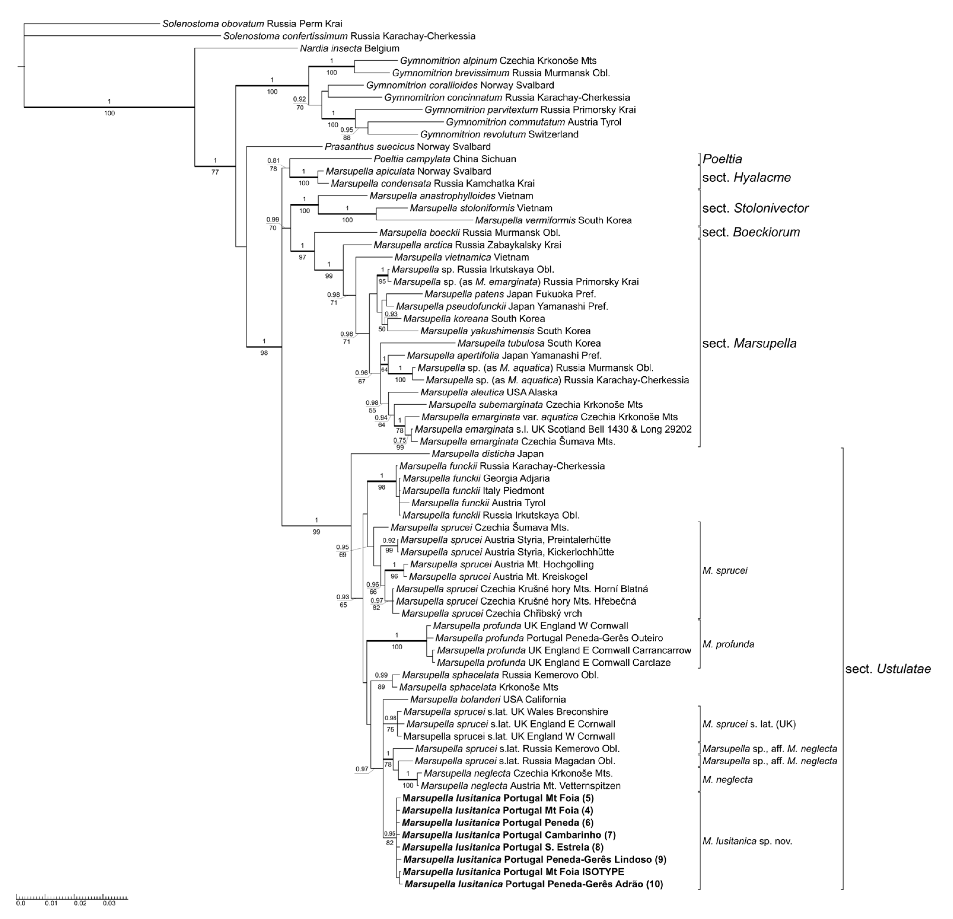 Plants 12 01468 g001