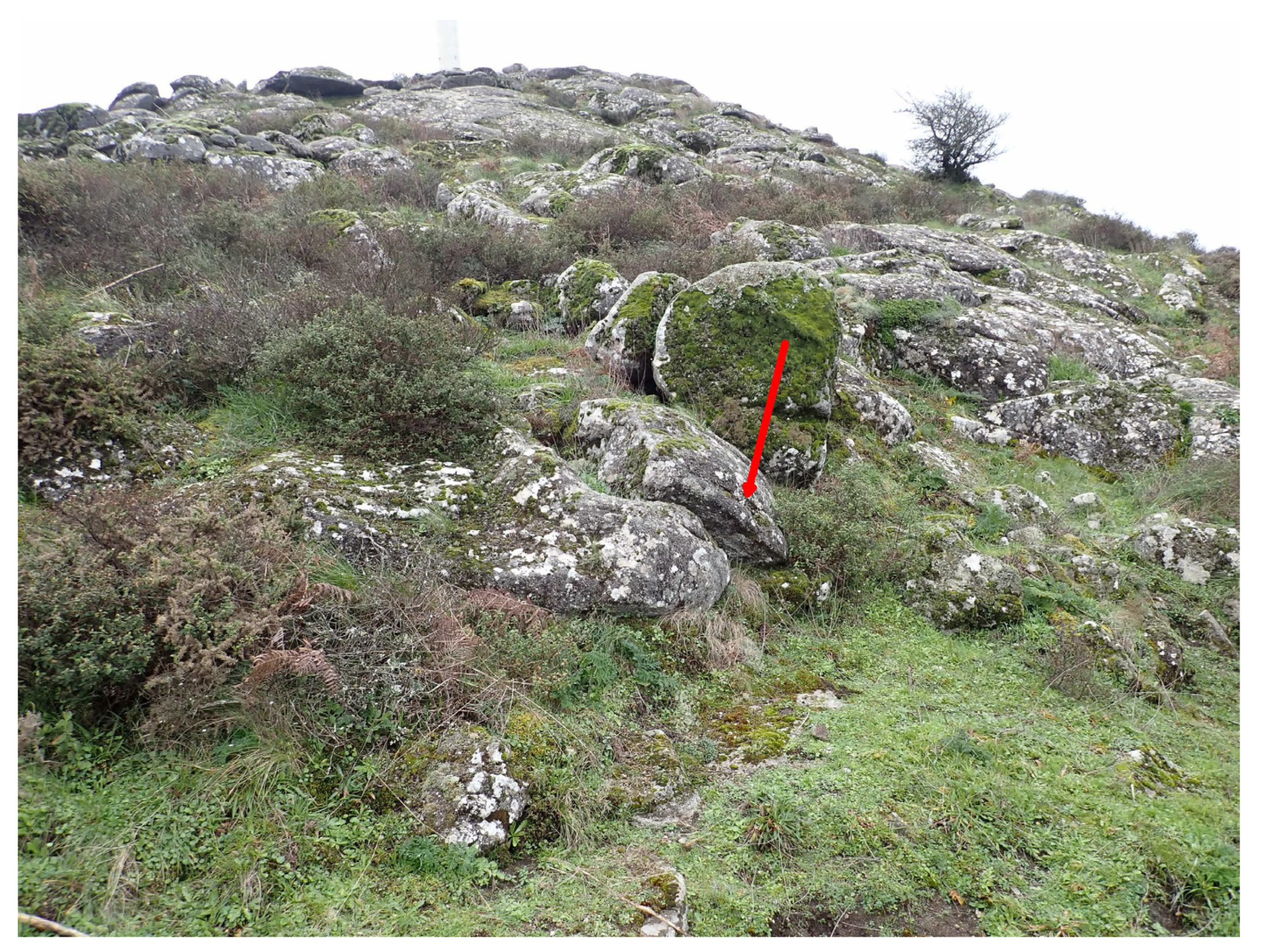 Plants 12 01468 g006