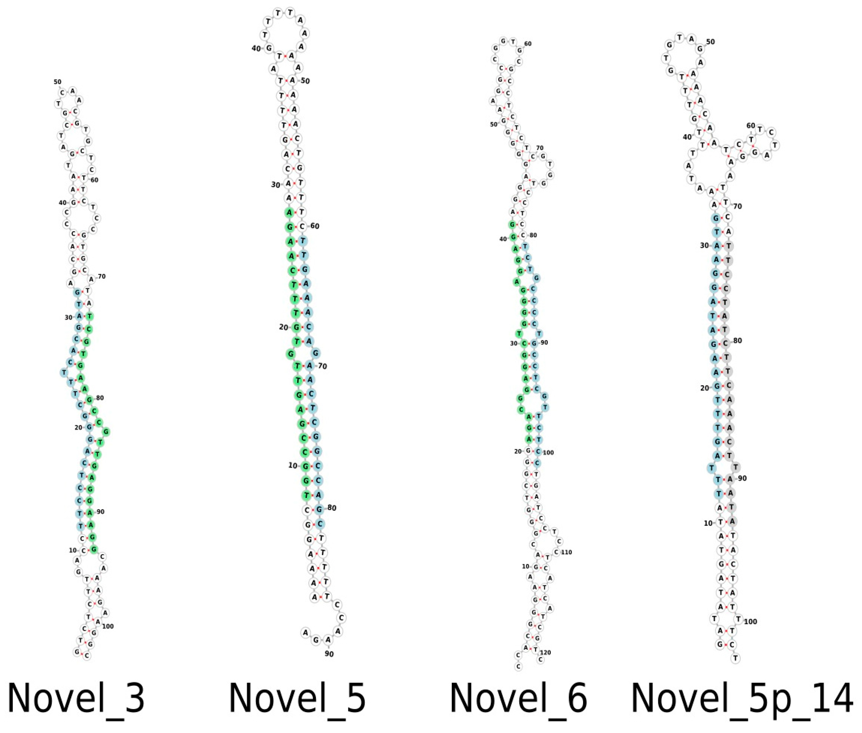 Plants 12 01473 g002 Plants 12 01473 g002