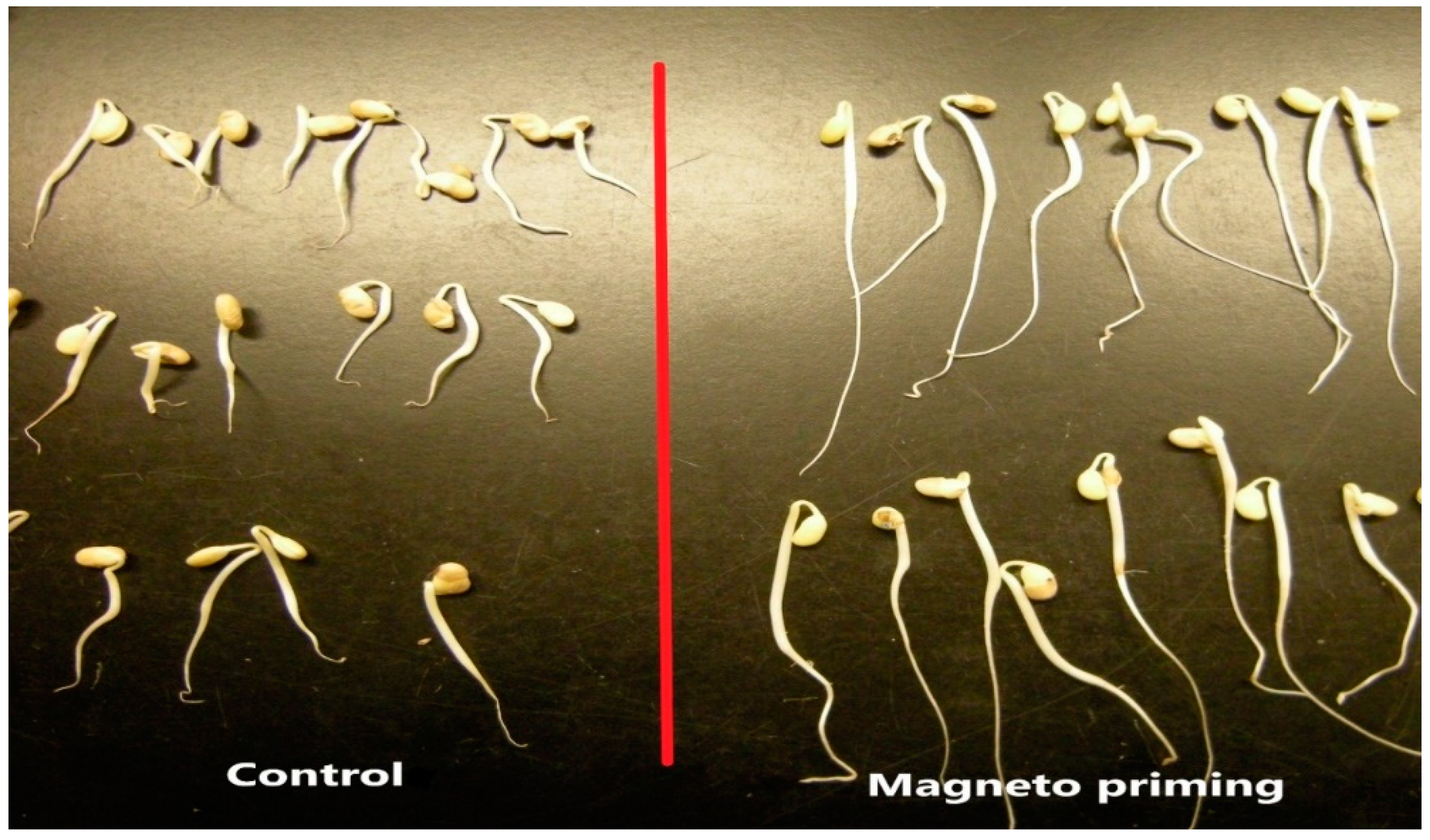 Plants 12 01477 g004