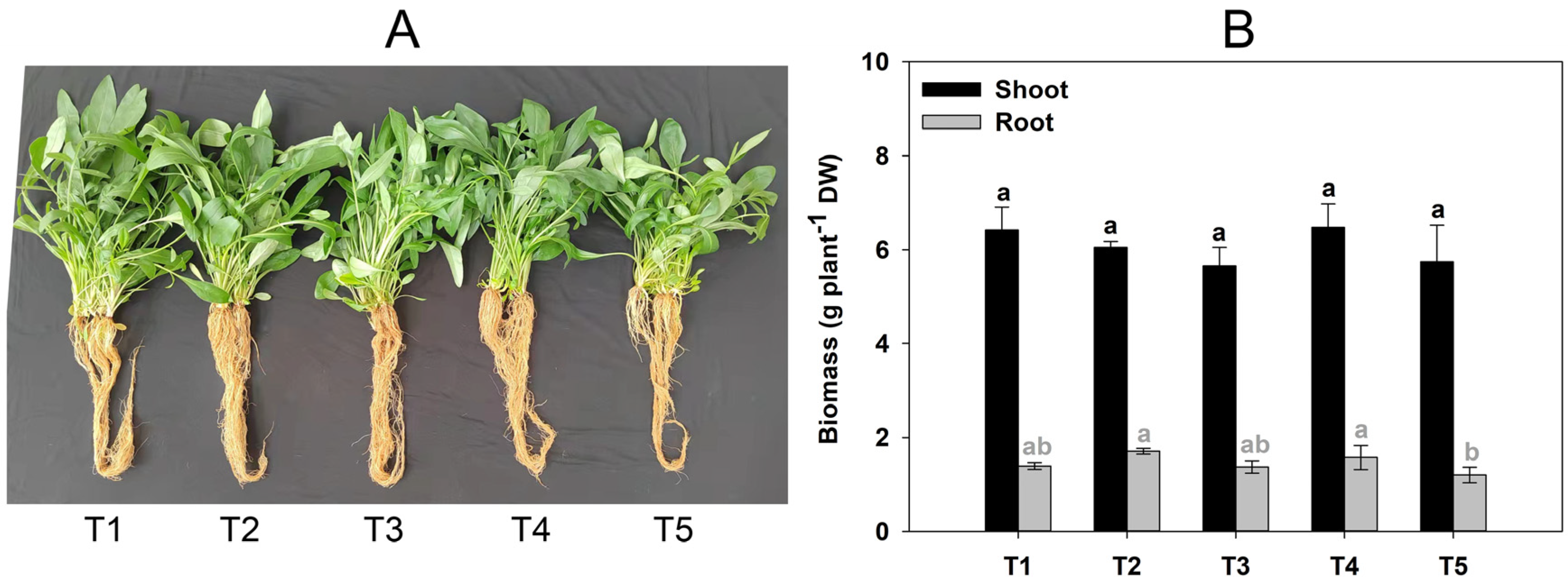 Plants 12 01484 g001a Plants 12 01484 g001a