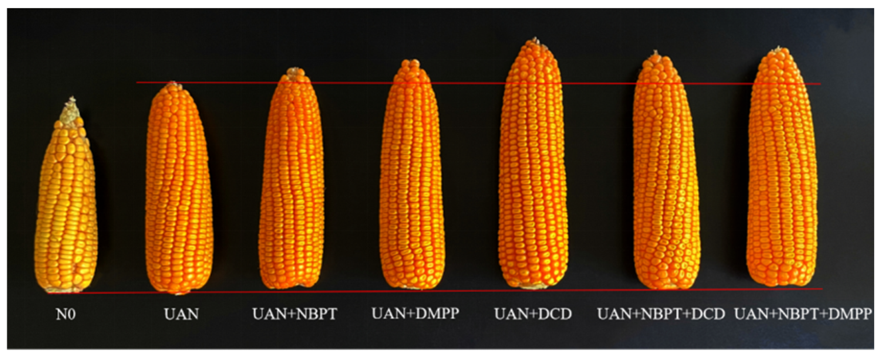 Plants 12 01486 g001