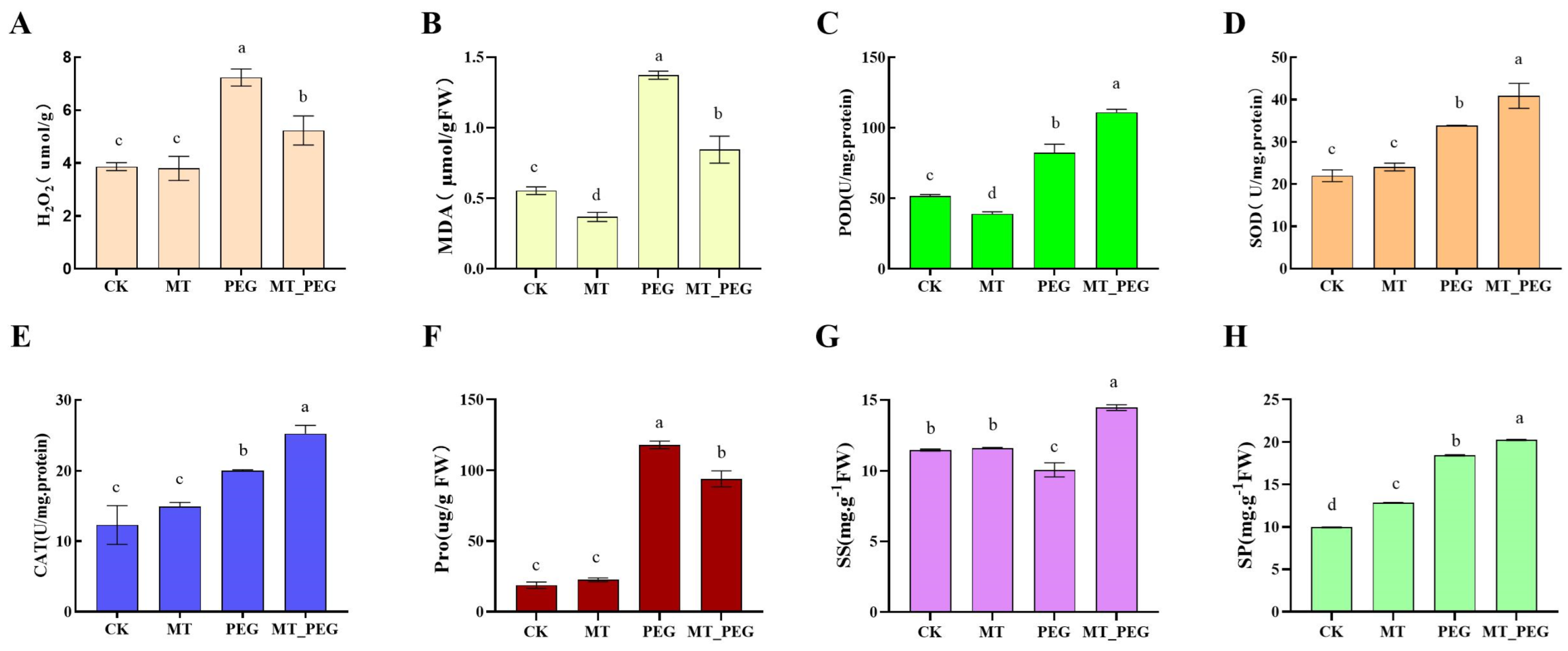Plants 12 01489 g002 Plants 12 01489 g002