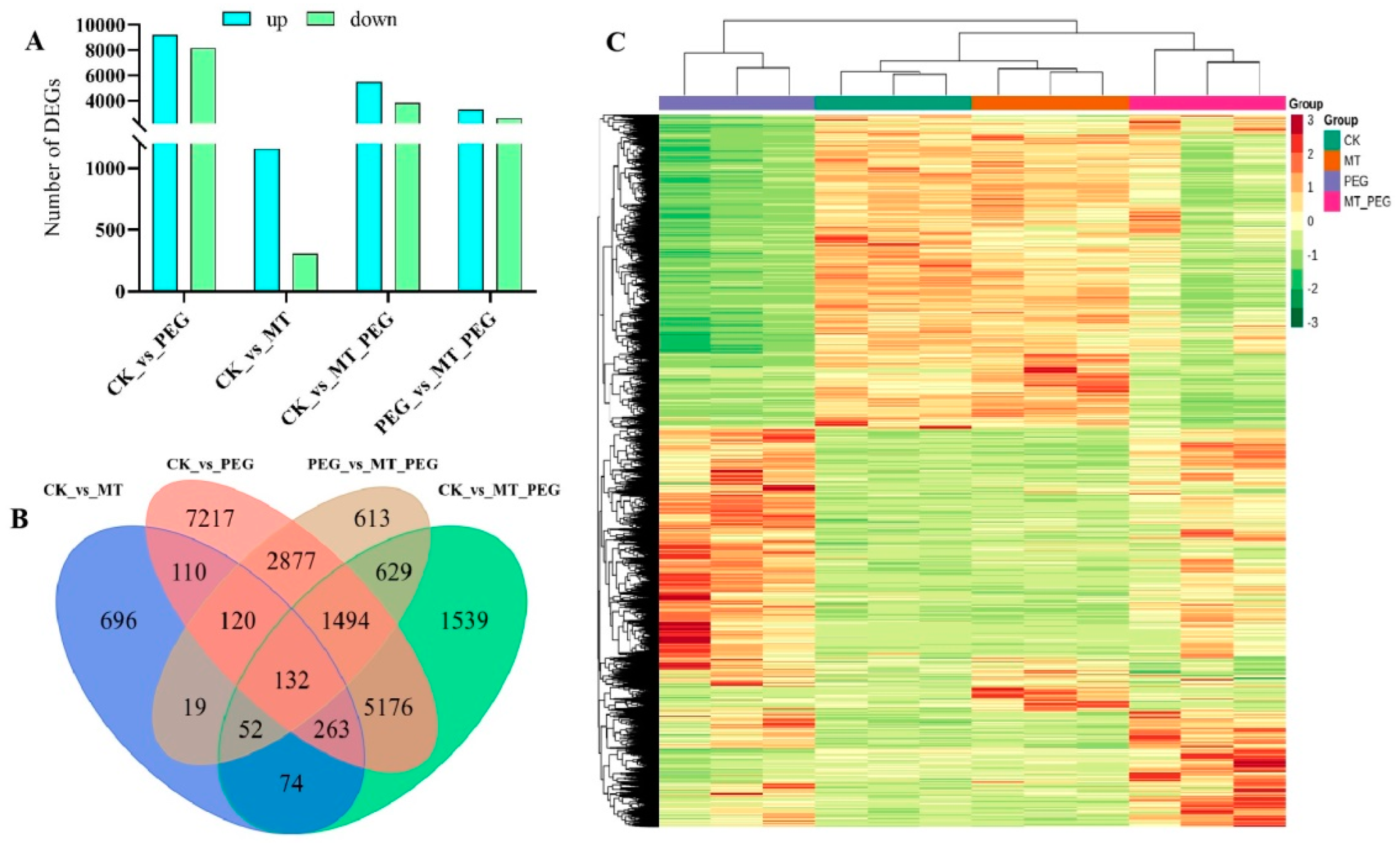 Plants 12 01489 g004 Plants 12 01489 g004