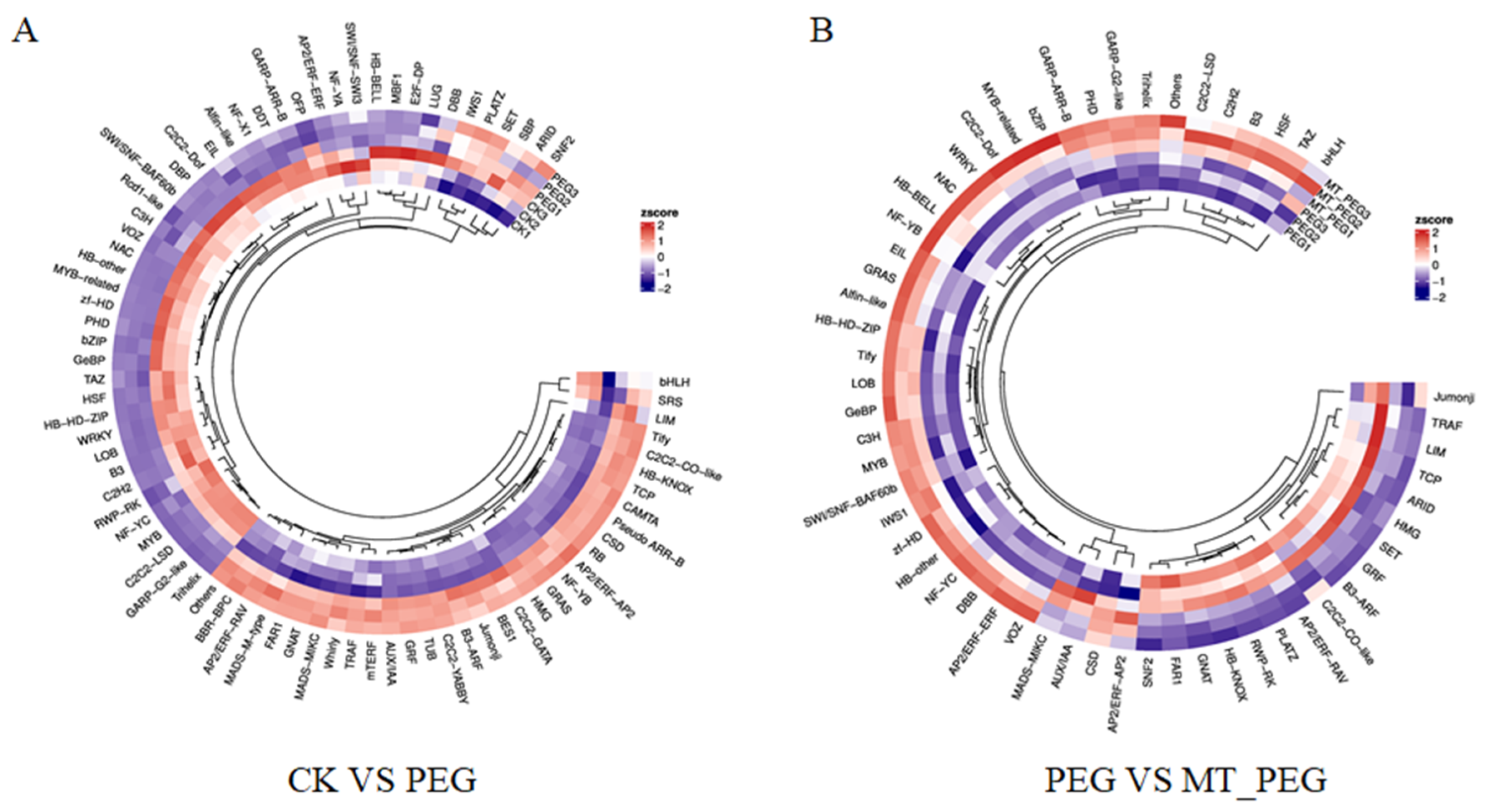 Plants 12 01489 g007 Plants 12 01489 g007