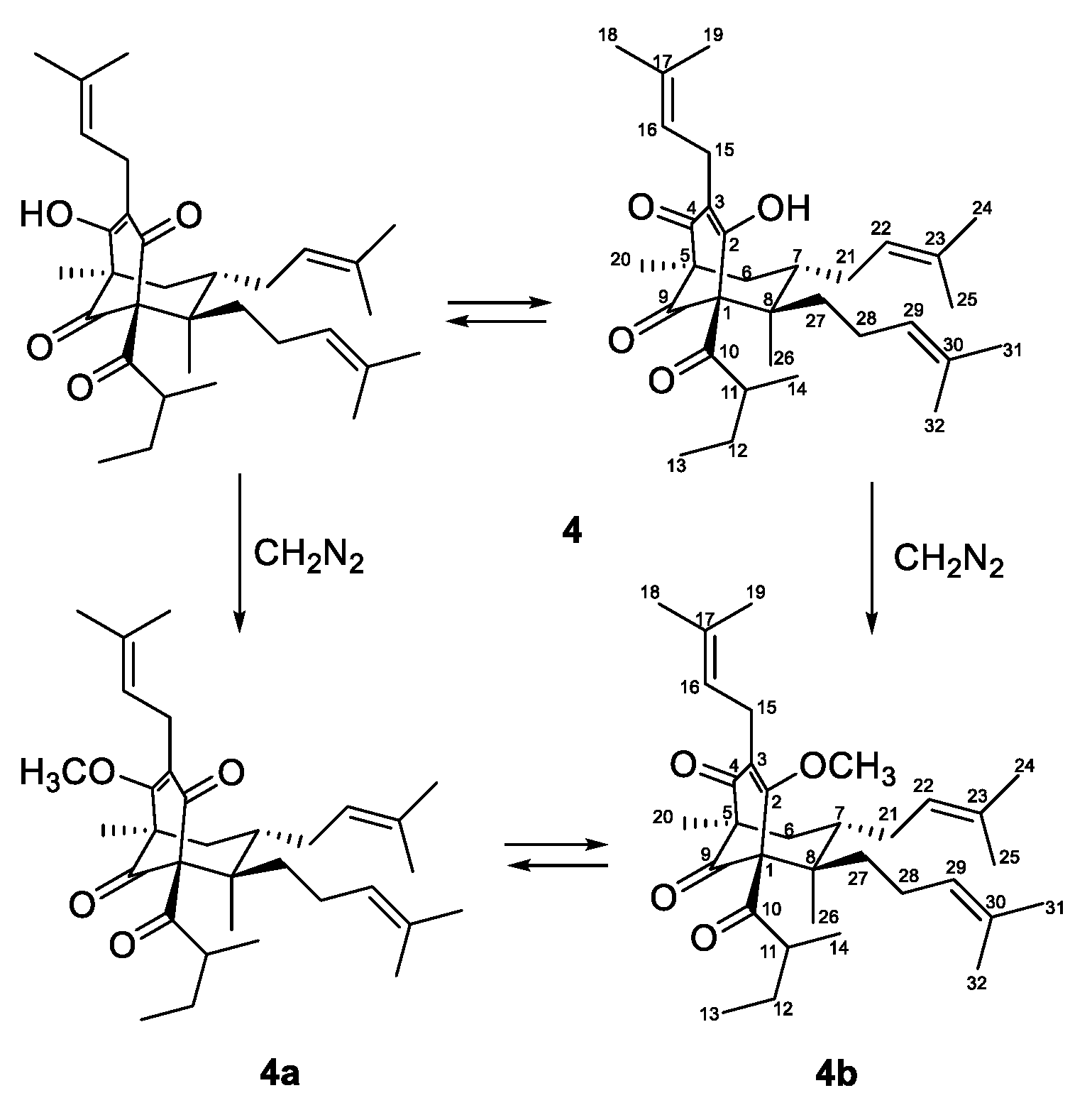 Plants 12 01500 g003 Plants 12 01500 g003