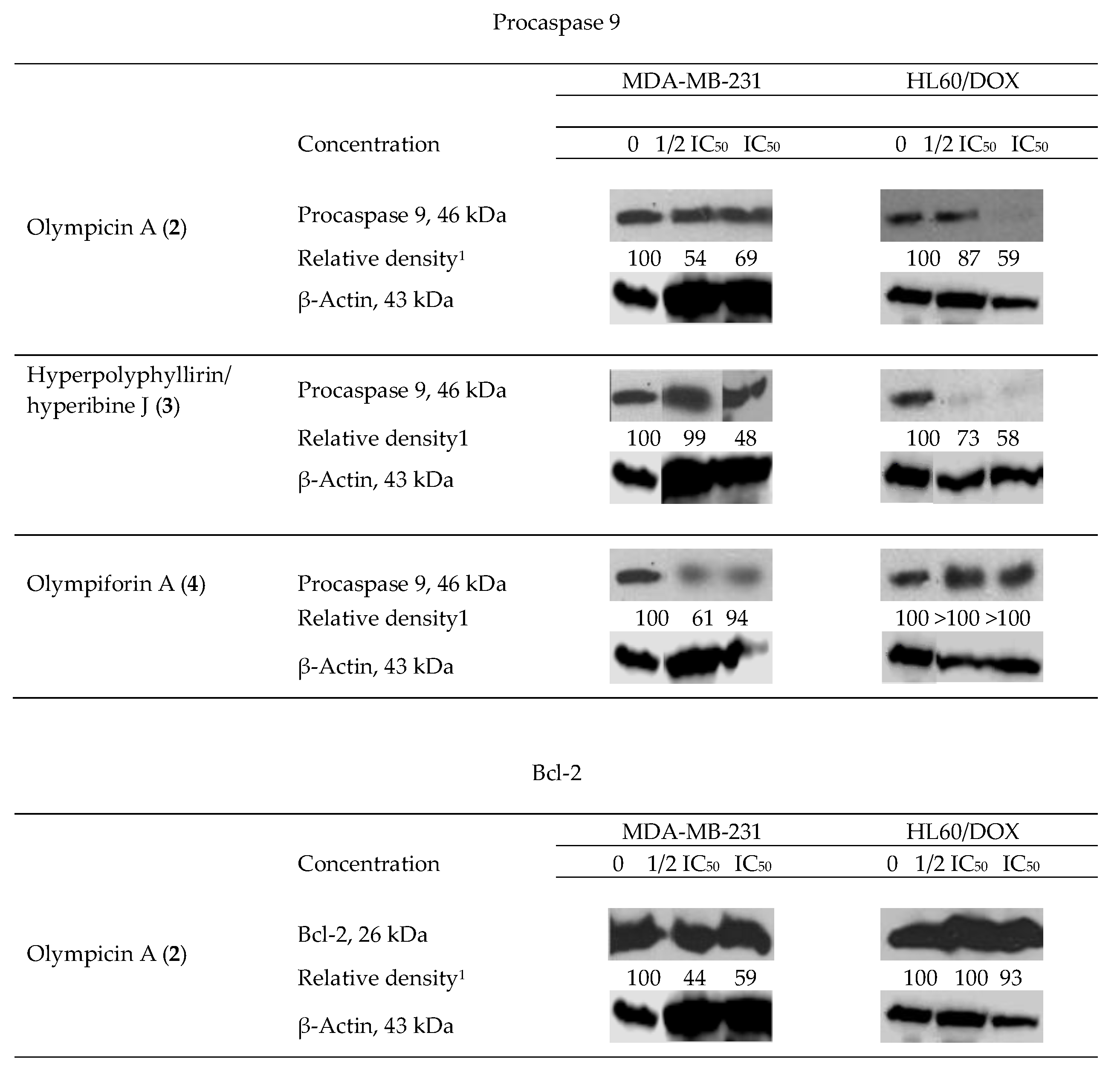 Plants 12 01500 g007 Plants 12 01500 g007