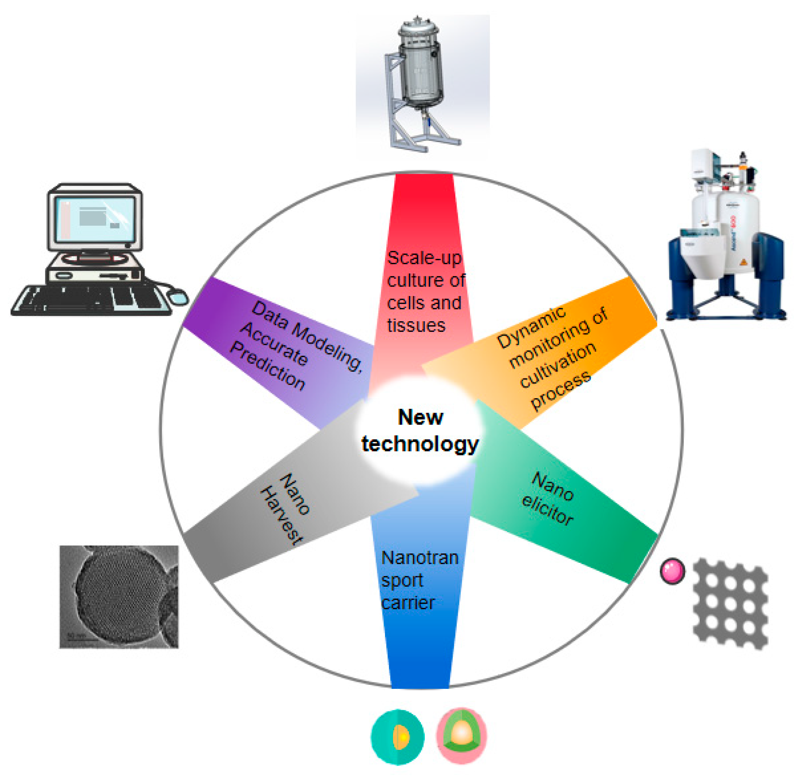 Plants 12 01505 g001 Plants 12 01505 g001