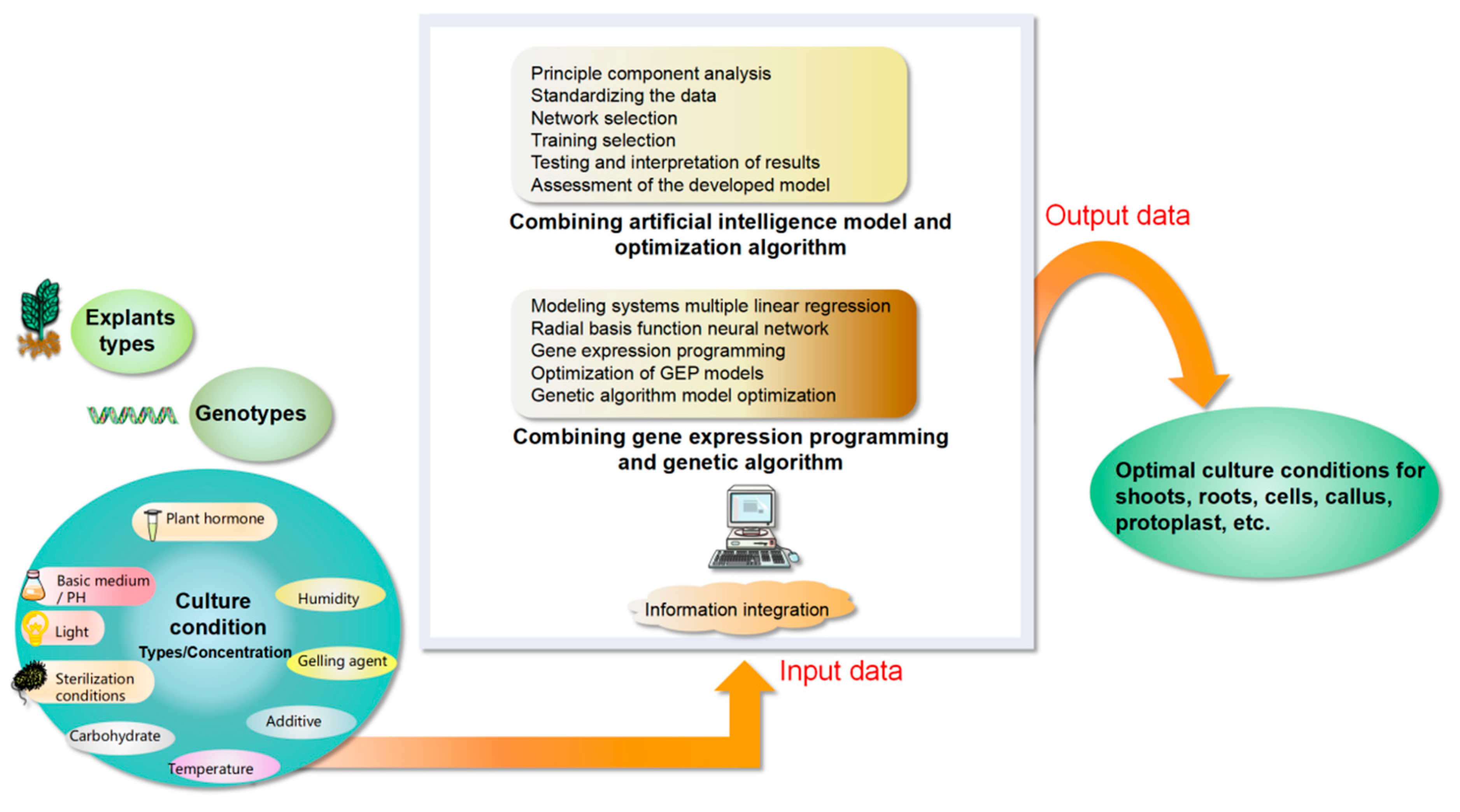 Plants 12 01505 g003 Plants 12 01505 g003