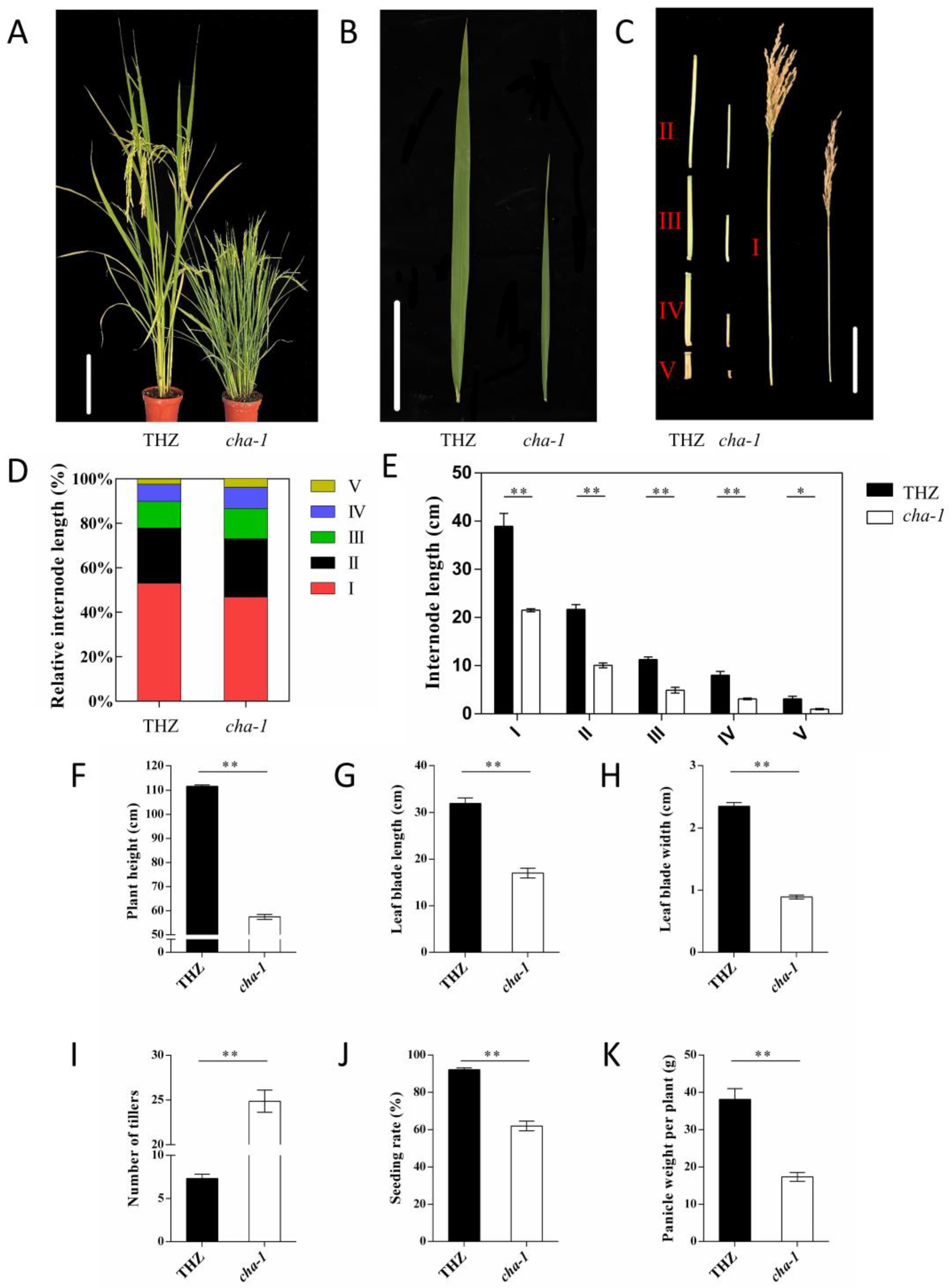 Plants 12 01507 g001 Plants 12 01507 g001