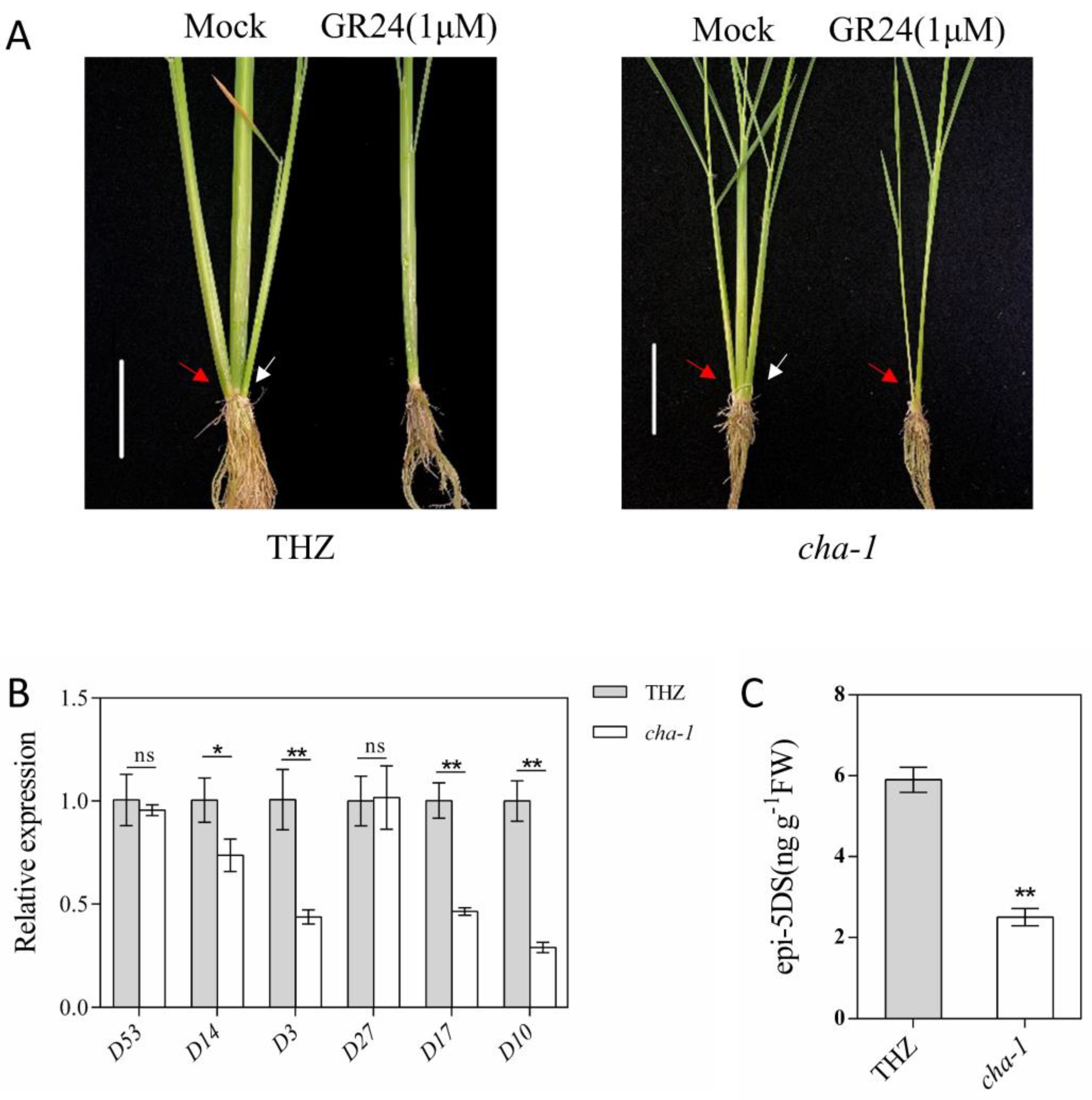 Plants 12 01507 g005 Plants 12 01507 g005