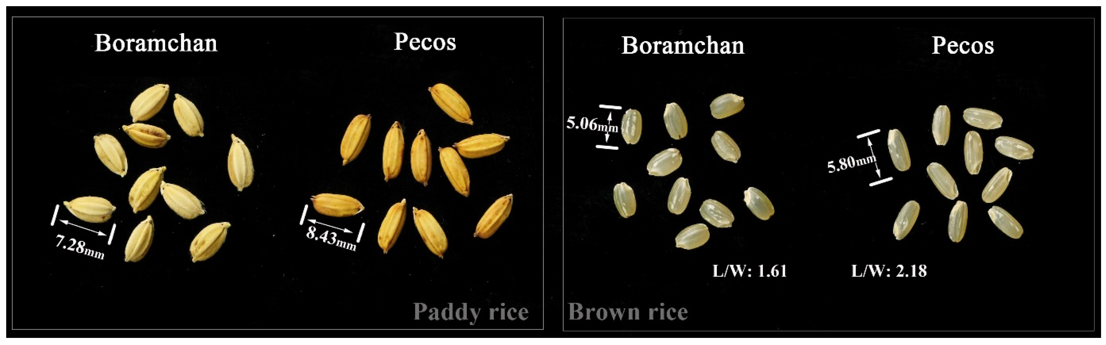 Plants 12 01513 g006