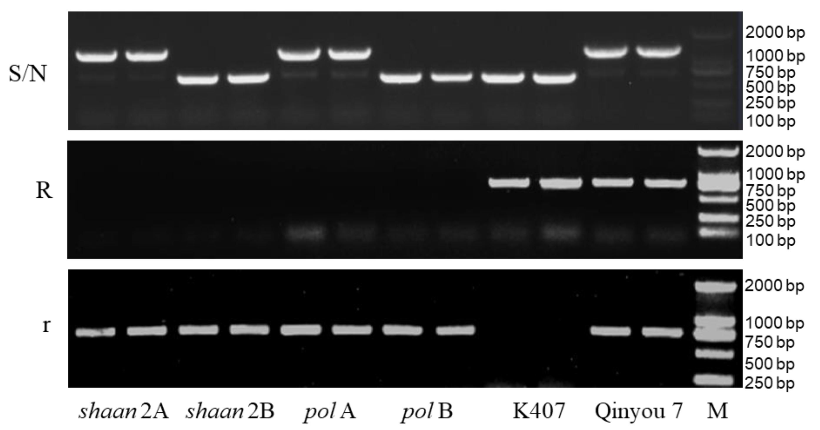 Plants 12 01514 g003