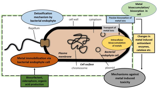 Plants 12 01515 g002