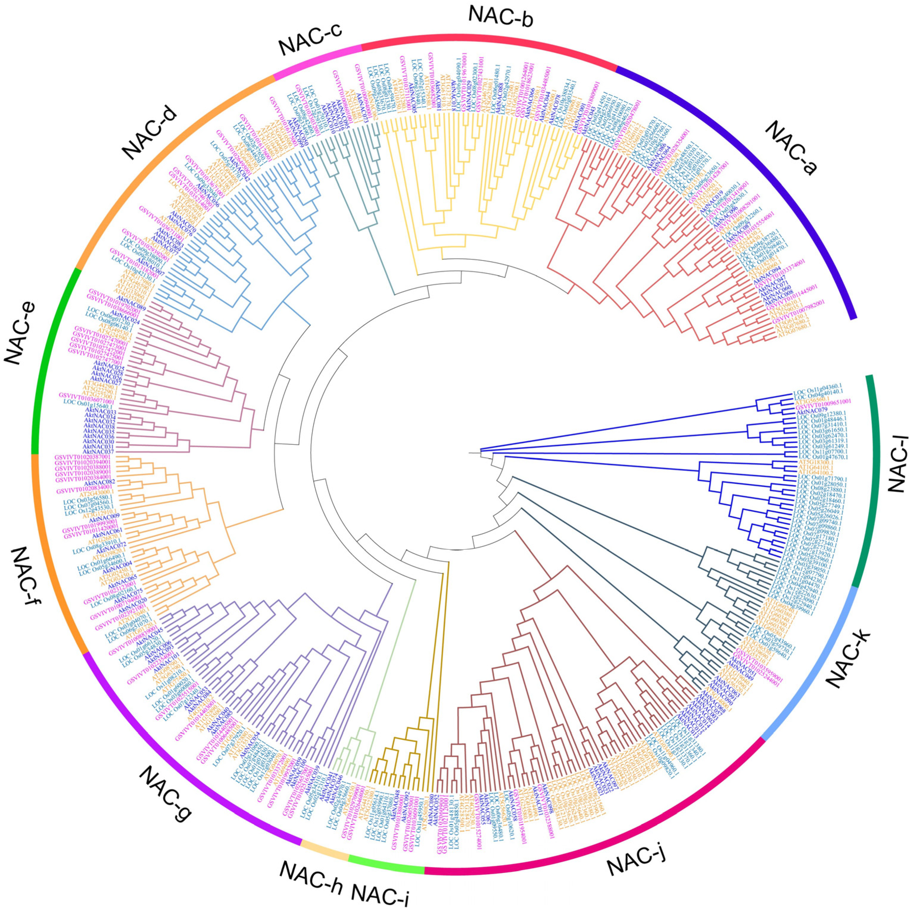 Plants 12 01518 g001