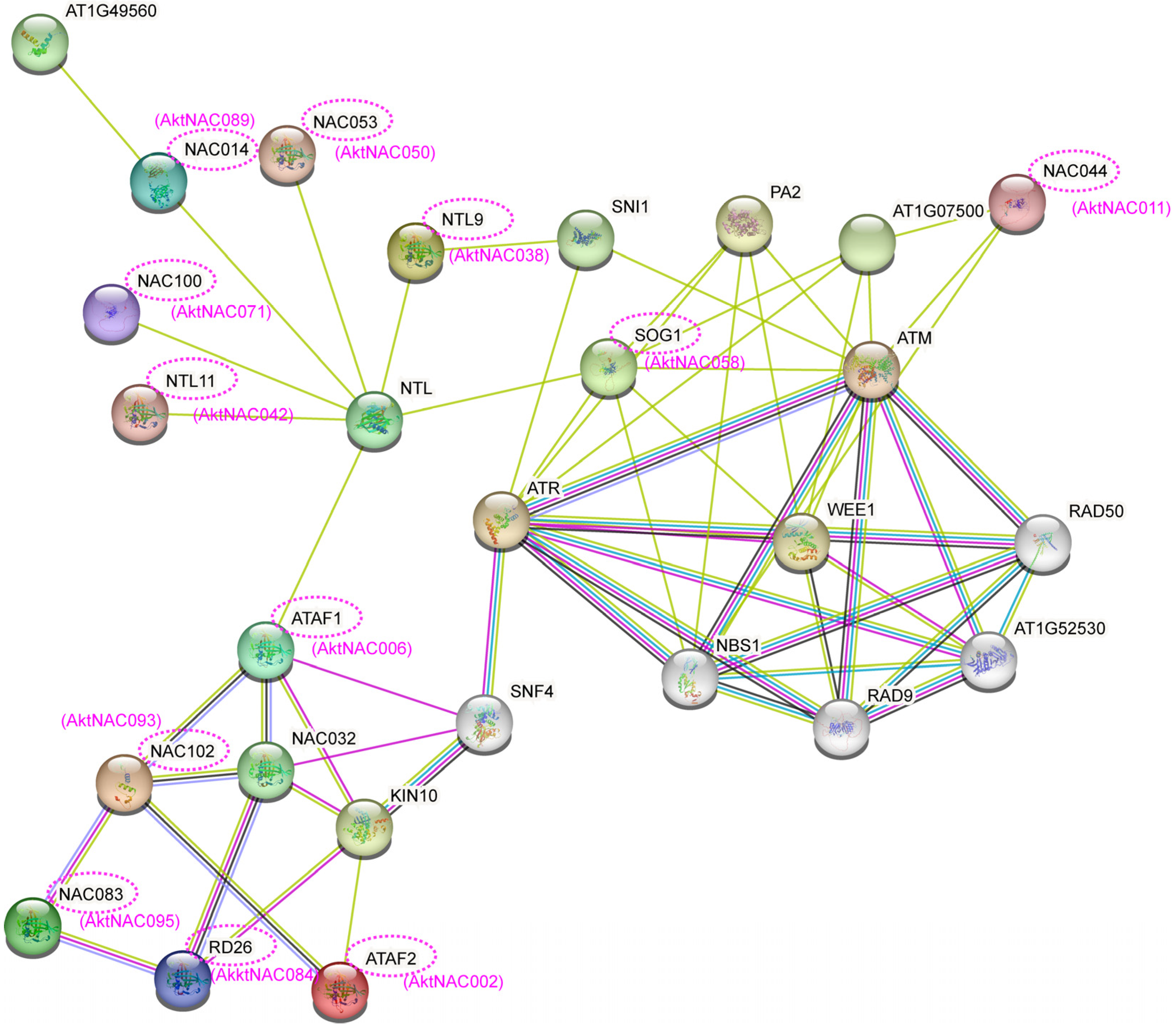 Plants 12 01518 g010