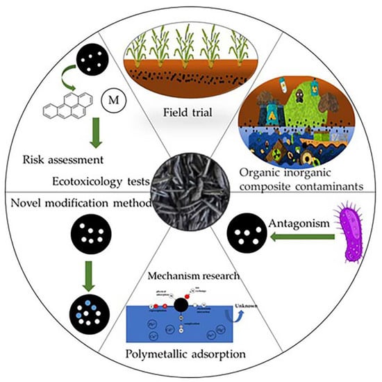 Plants 12 01524 g004