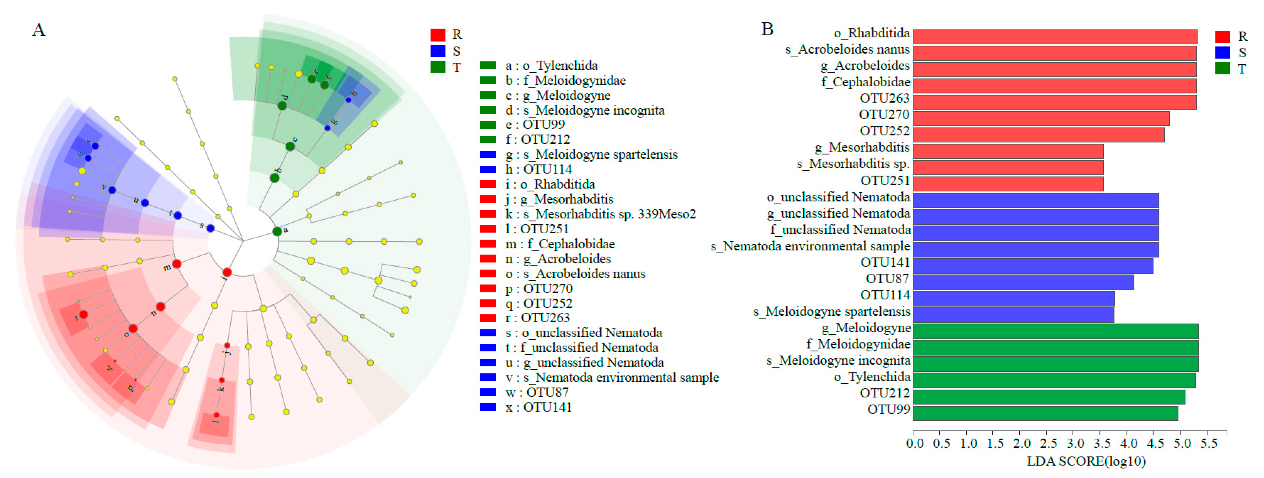 Plants 12 01528 g003