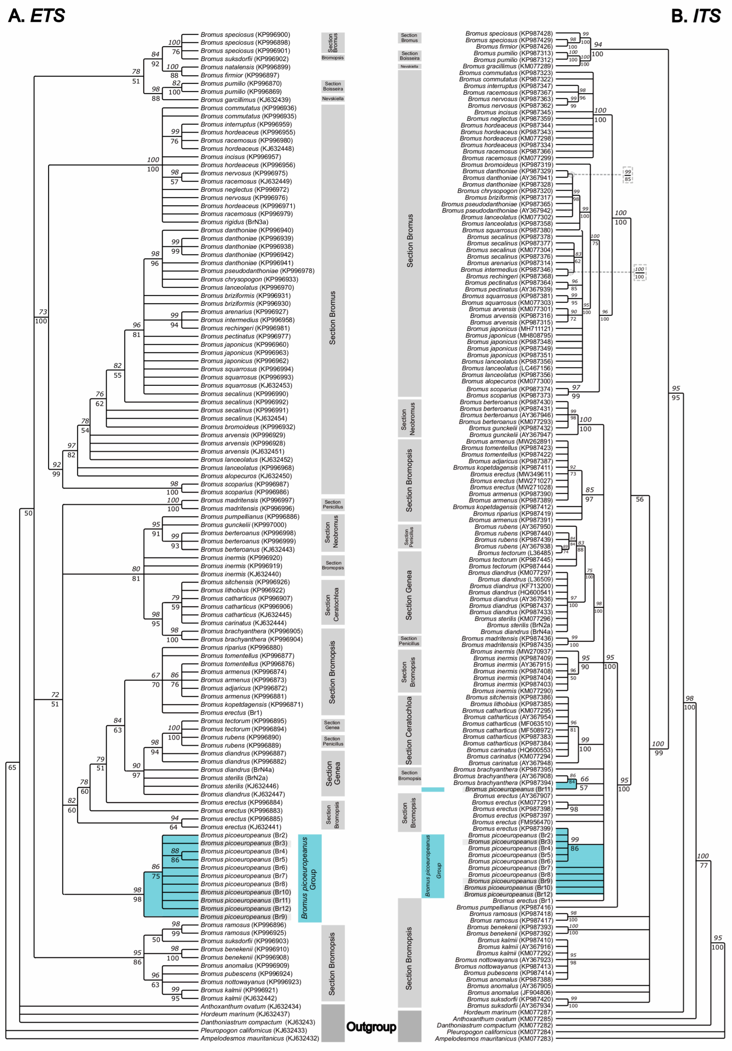Plants 12 01531 g003