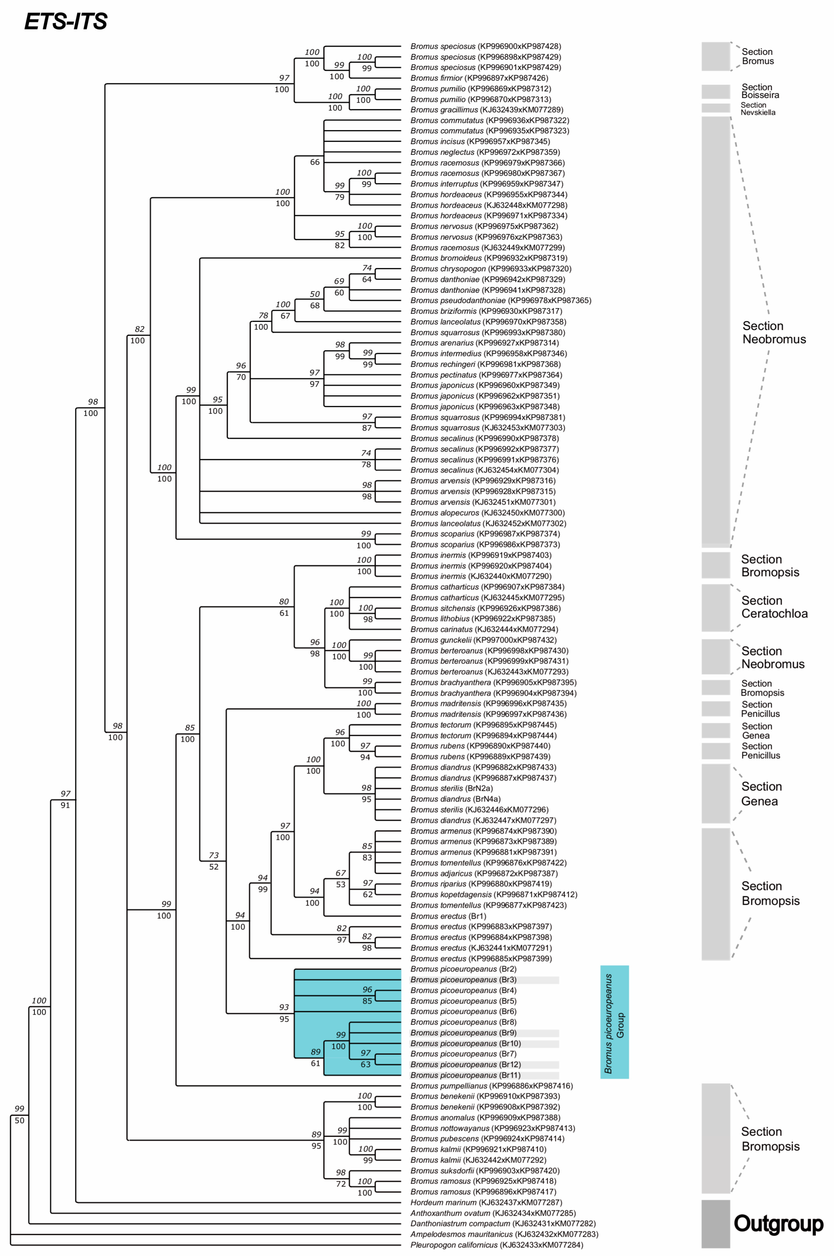 Plants 12 01531 g004