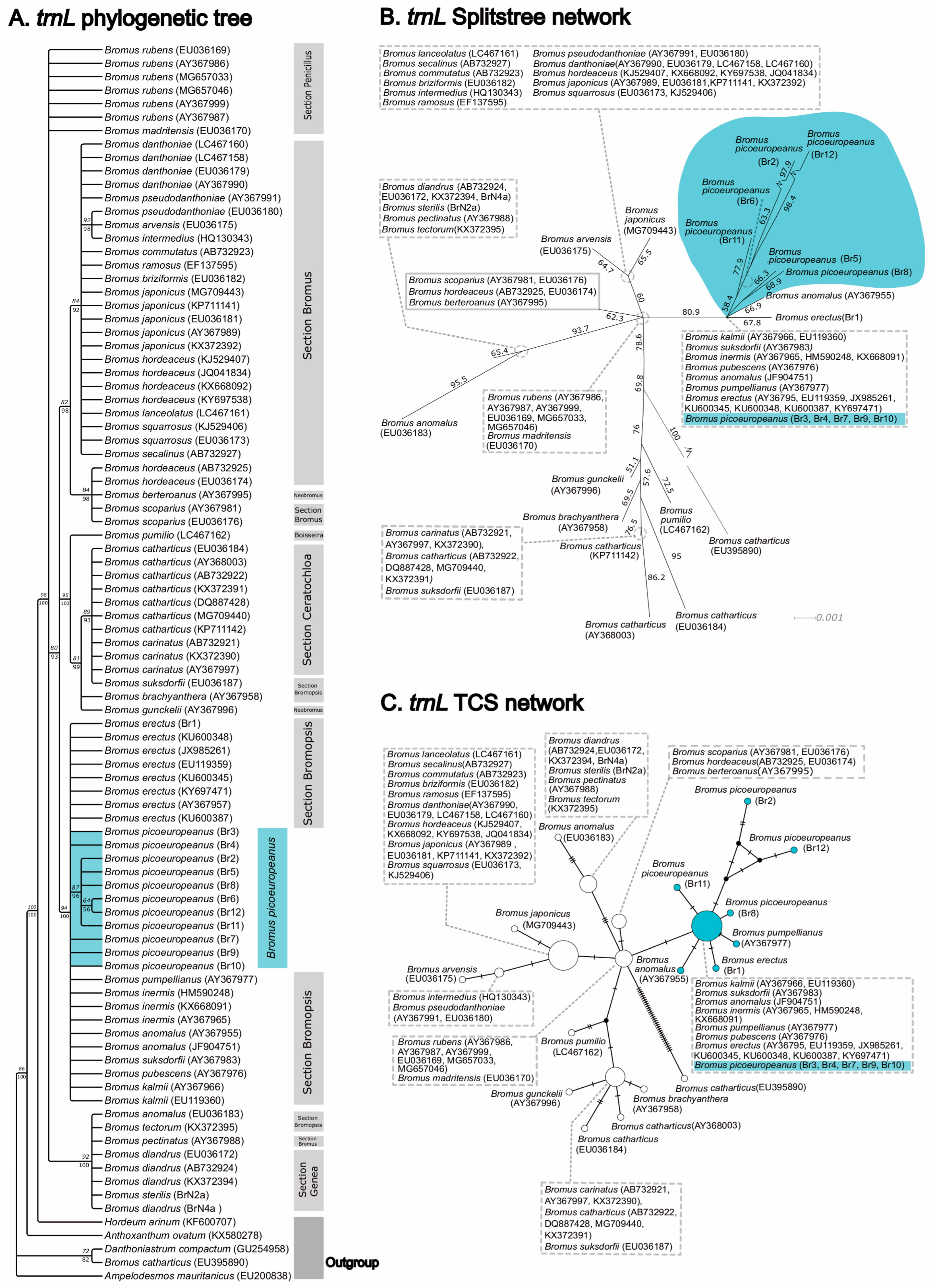 Plants 12 01531 g005