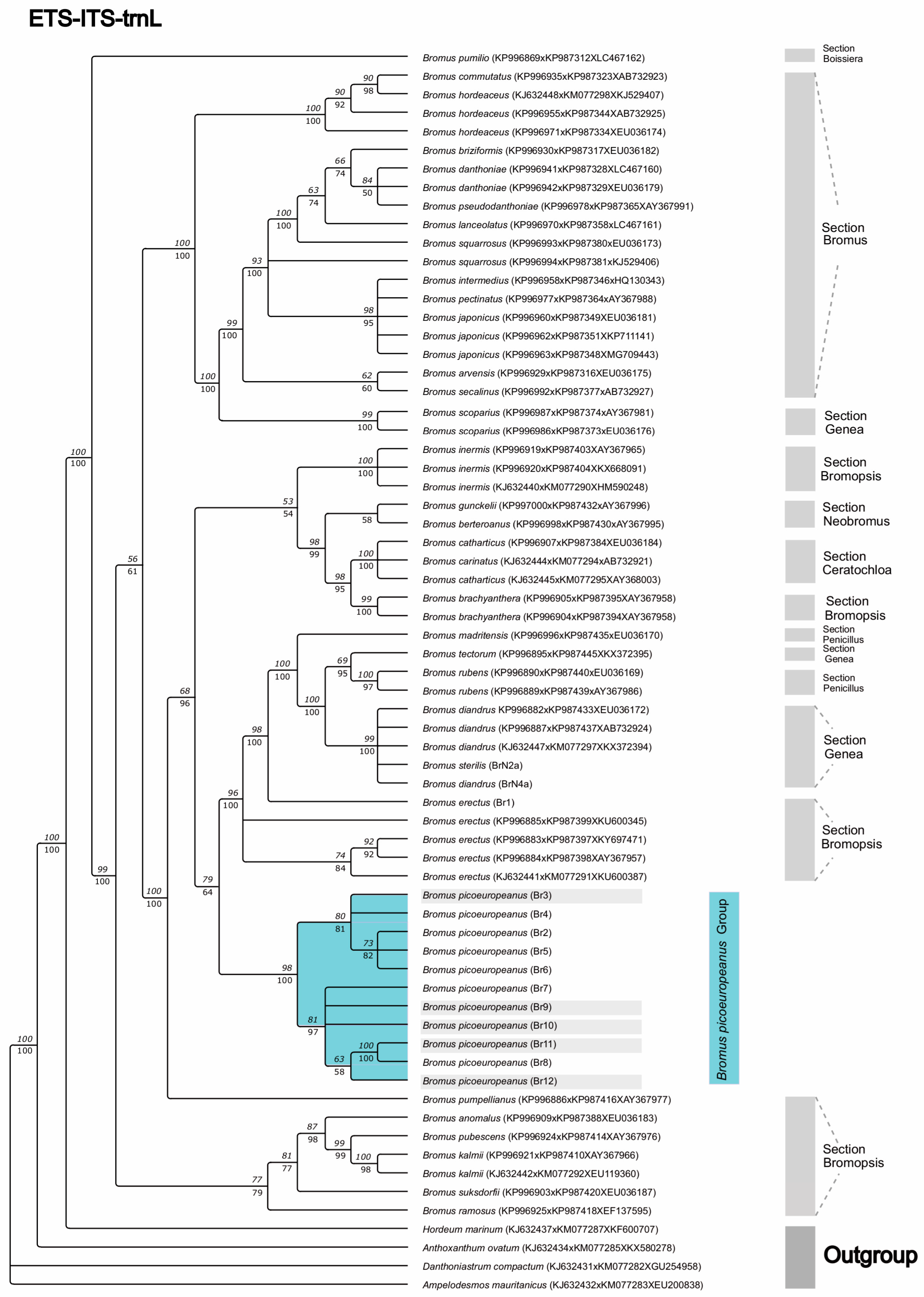 Plants 12 01531 g006
