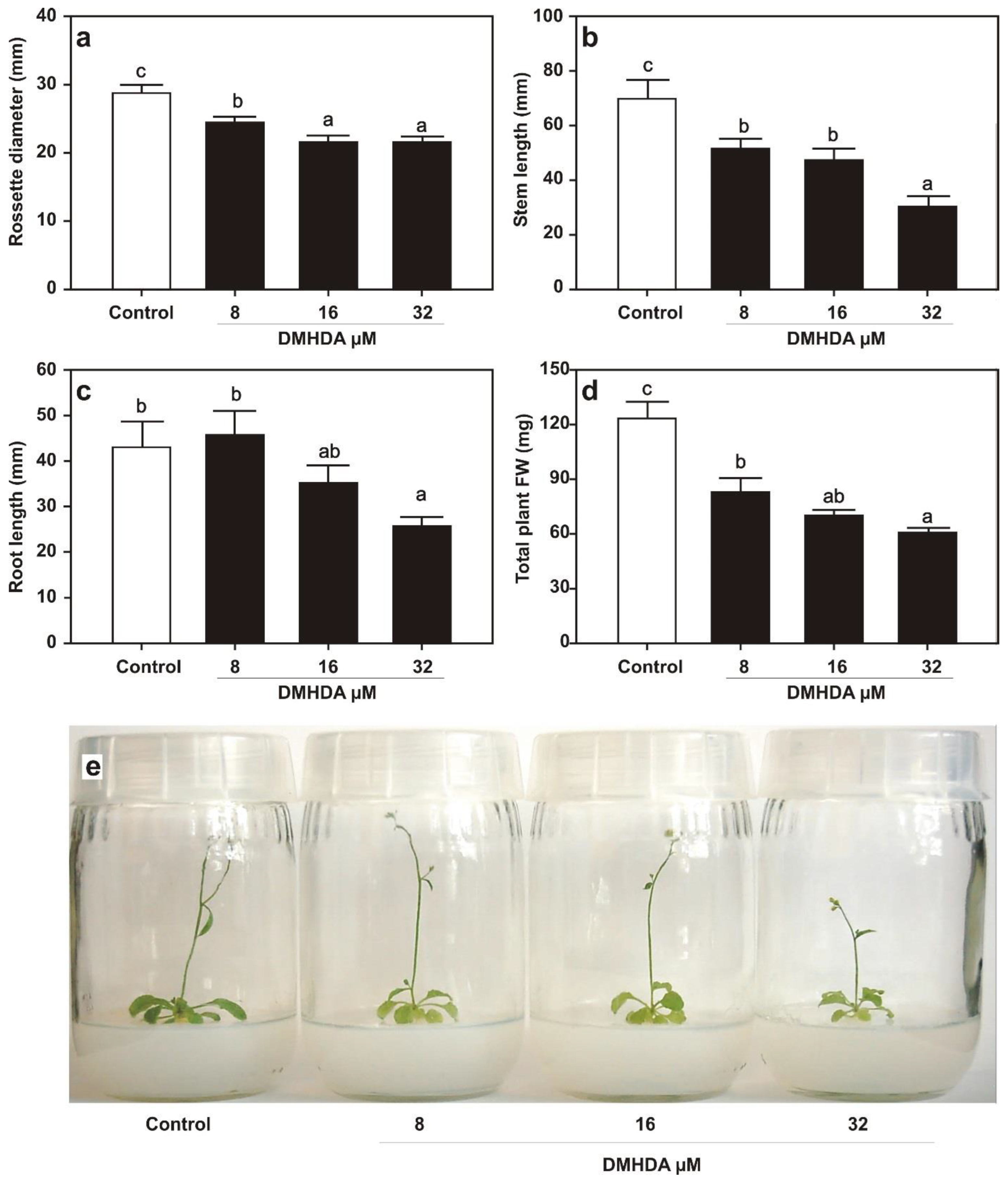 Plants 12 01540 g001