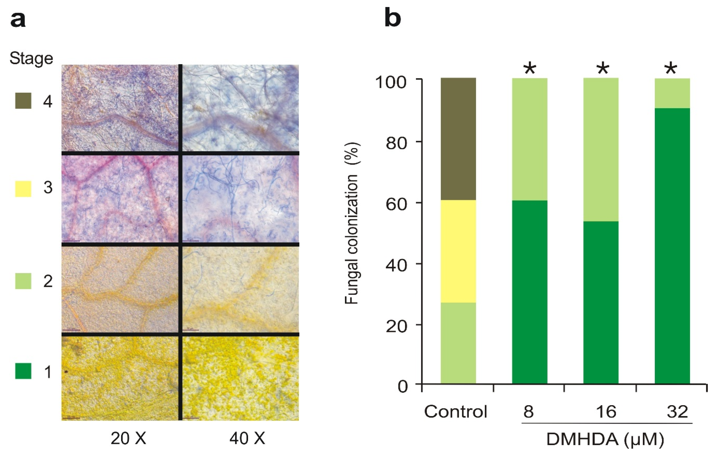 Plants 12 01540 g002