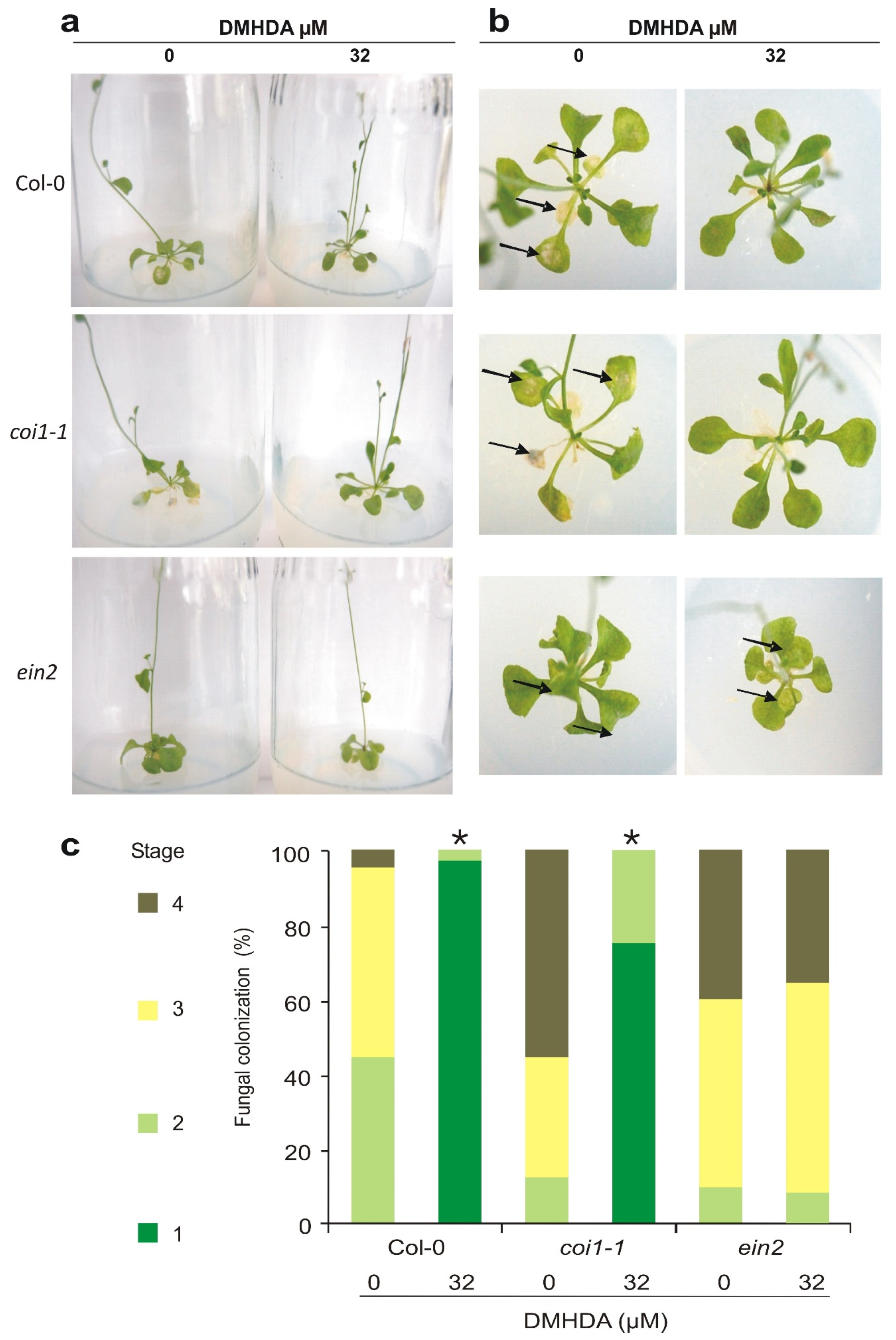Plants 12 01540 g004