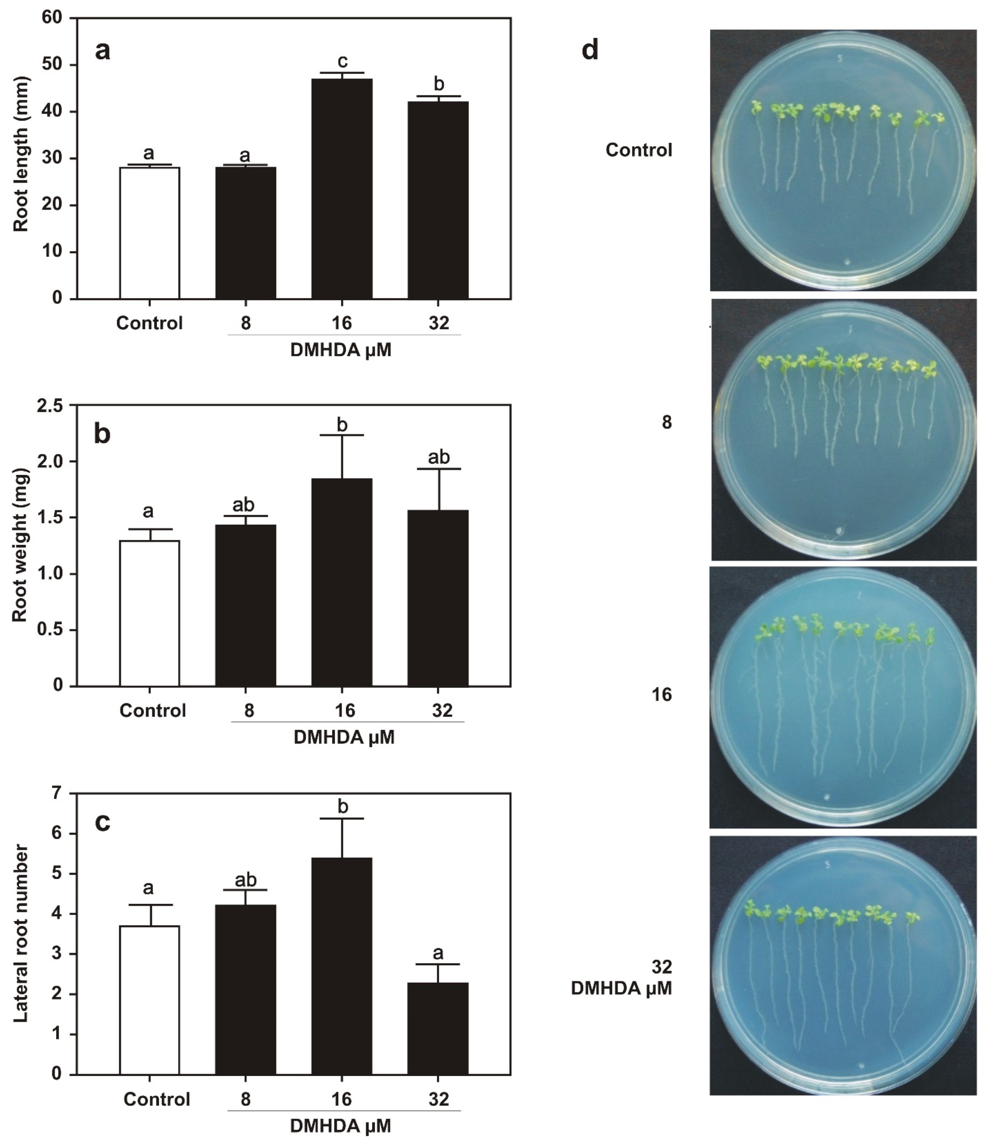 Plants 12 01540 g005
