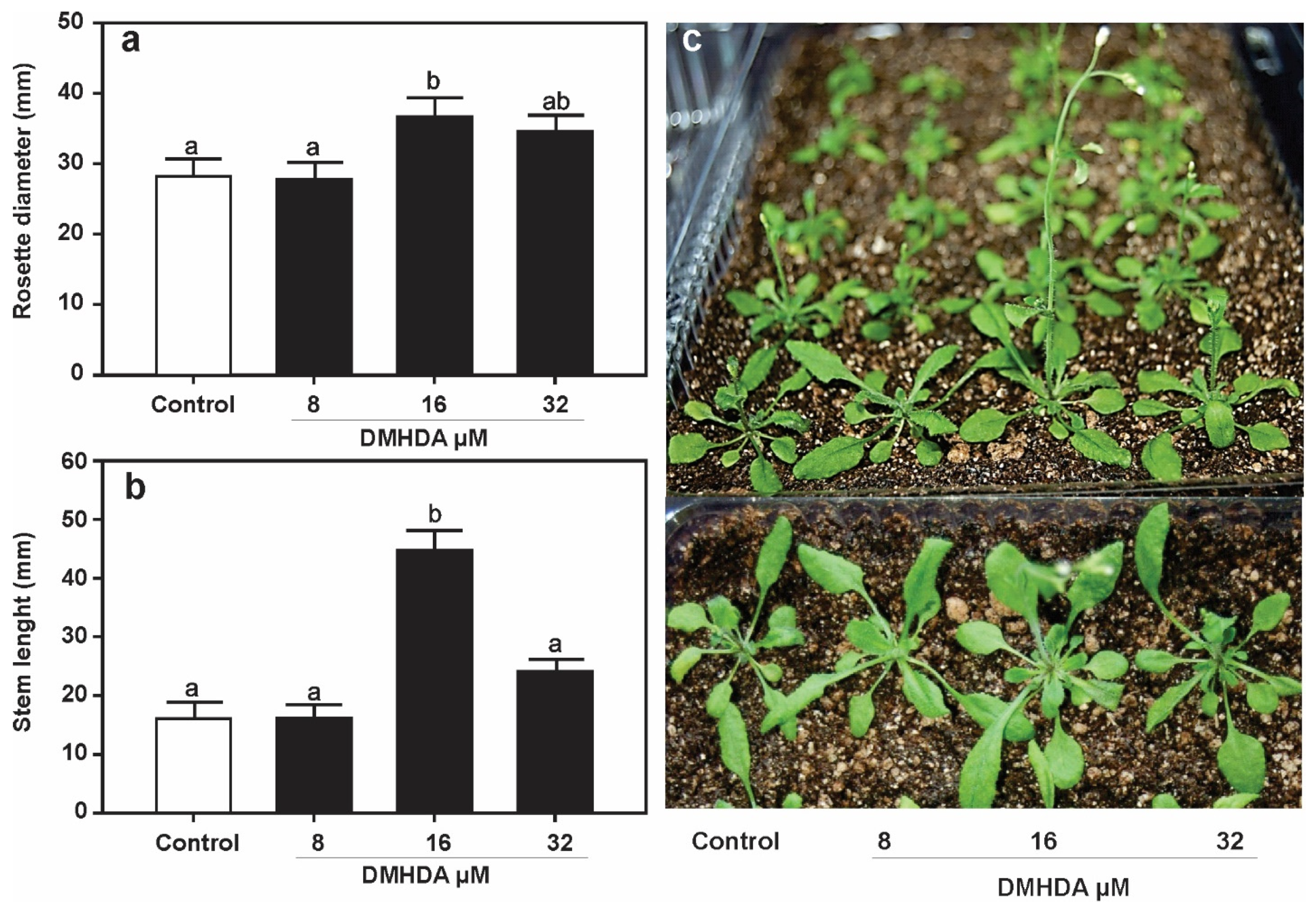 Plants 12 01540 g006