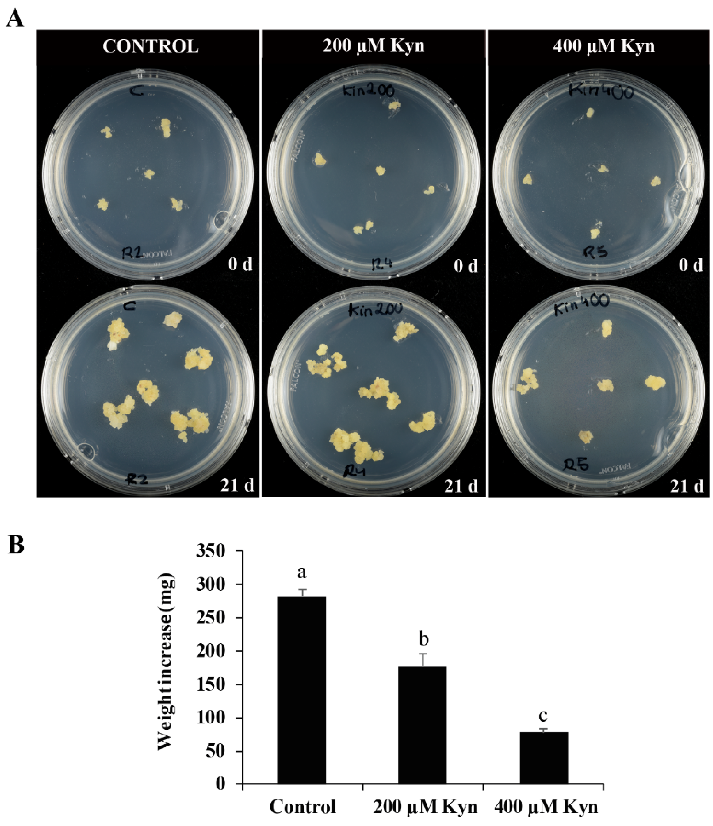 Plants 12 01542 g005