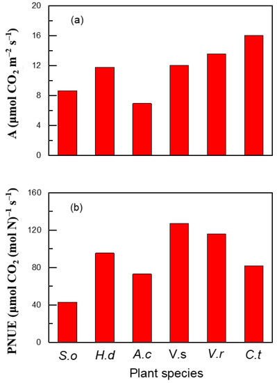 Plants 12 01551 g0a3