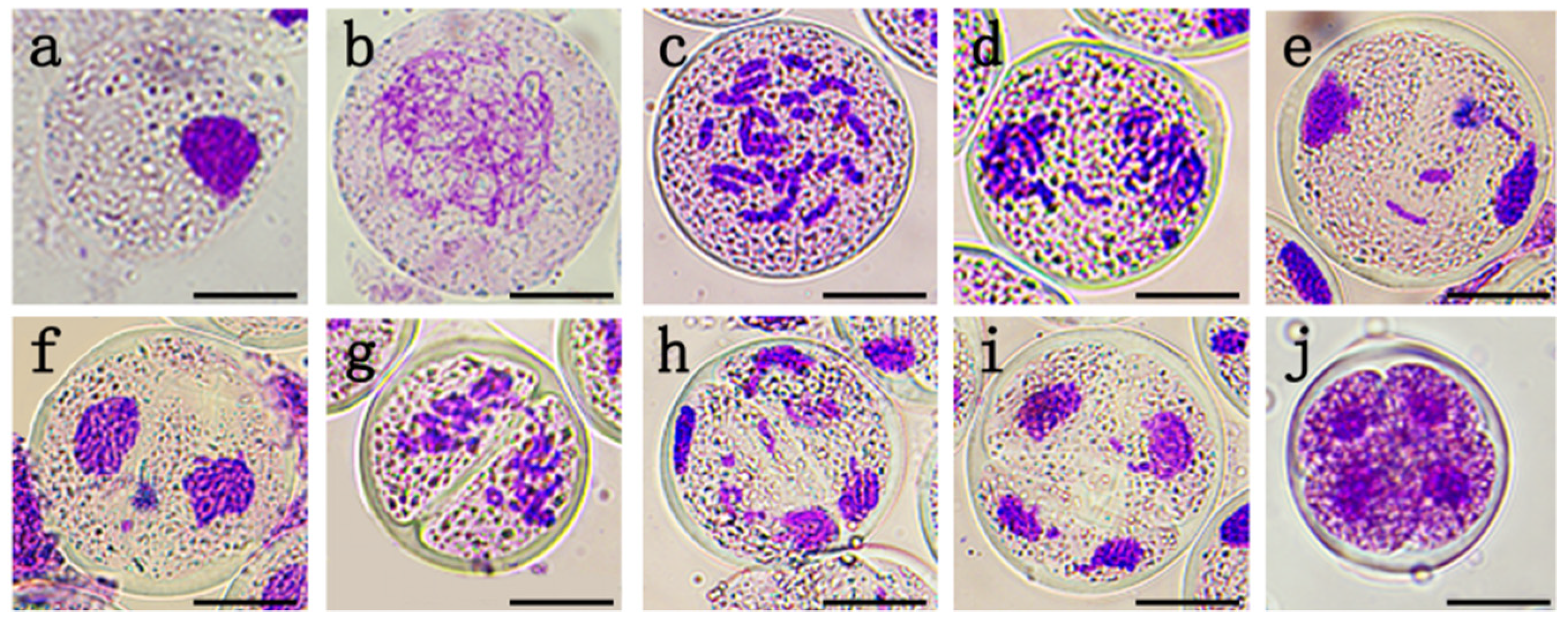 Plants 12 01563 g001