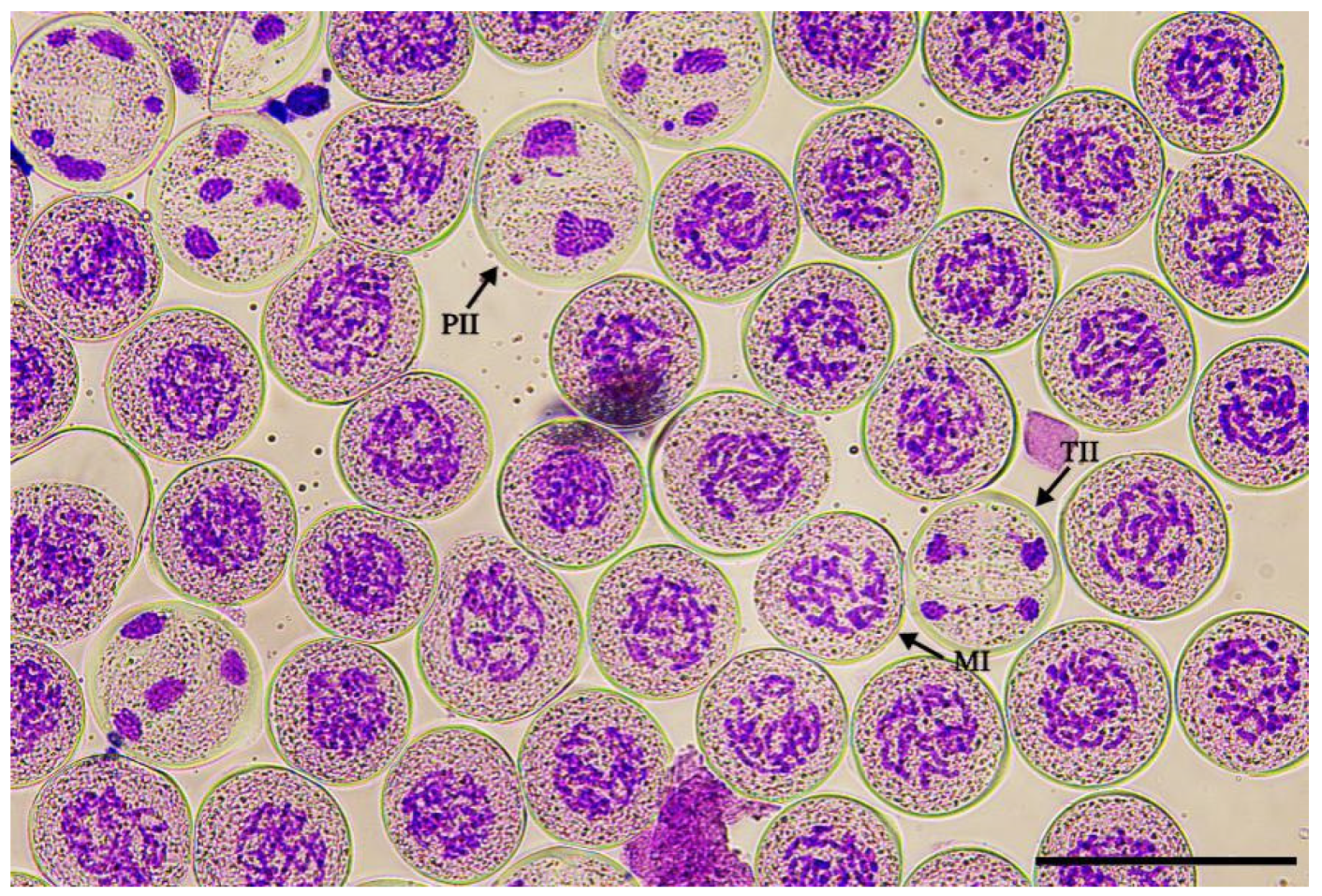 Plants 12 01563 g002