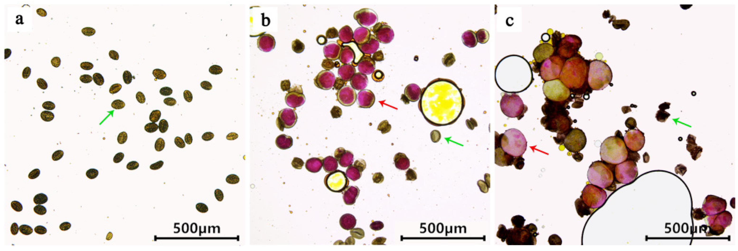 Plants 12 01563 g004