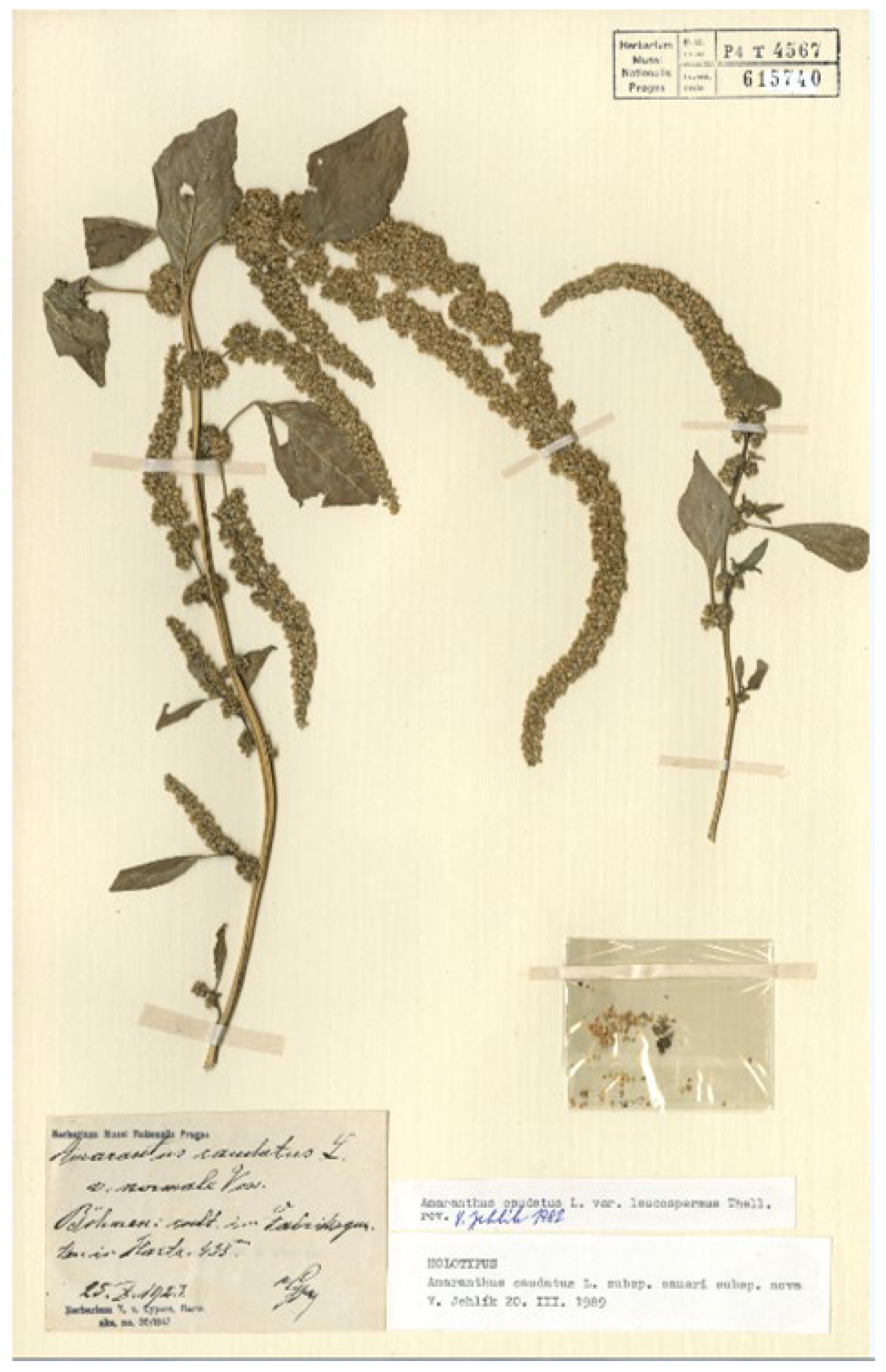 Plants 12 01566 g001