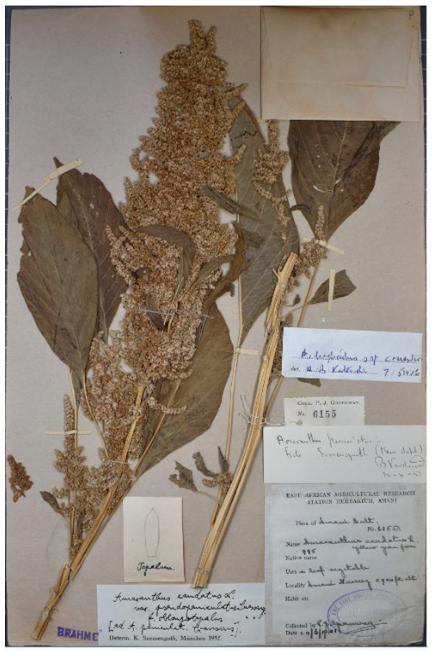 Plants 12 01566 g003