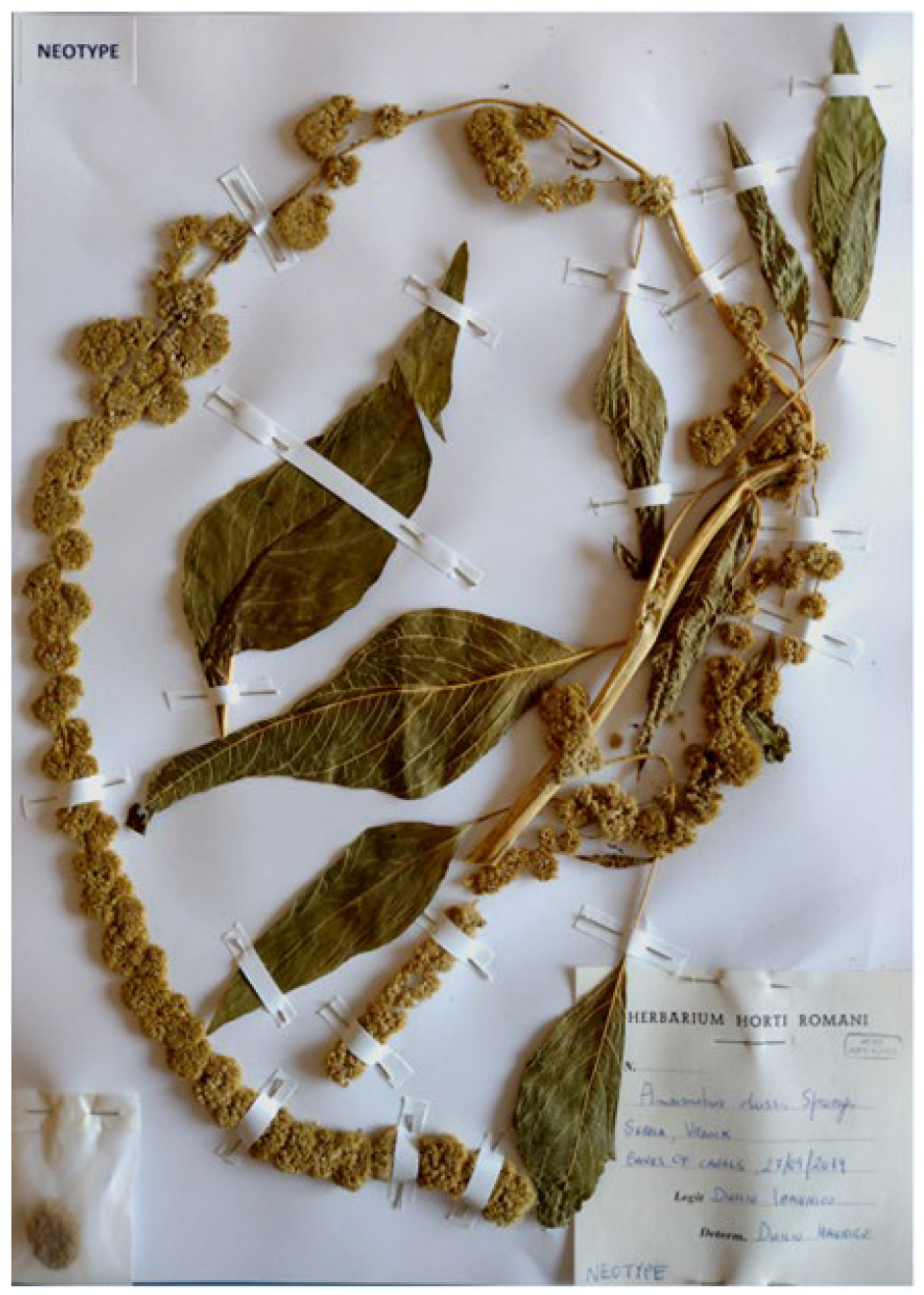 Plants 12 01566 g005