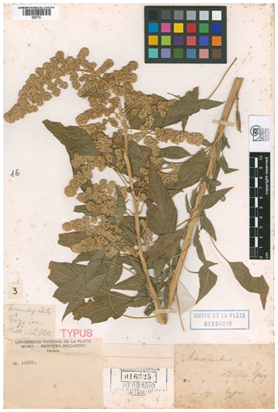 Plants 12 01566 g007