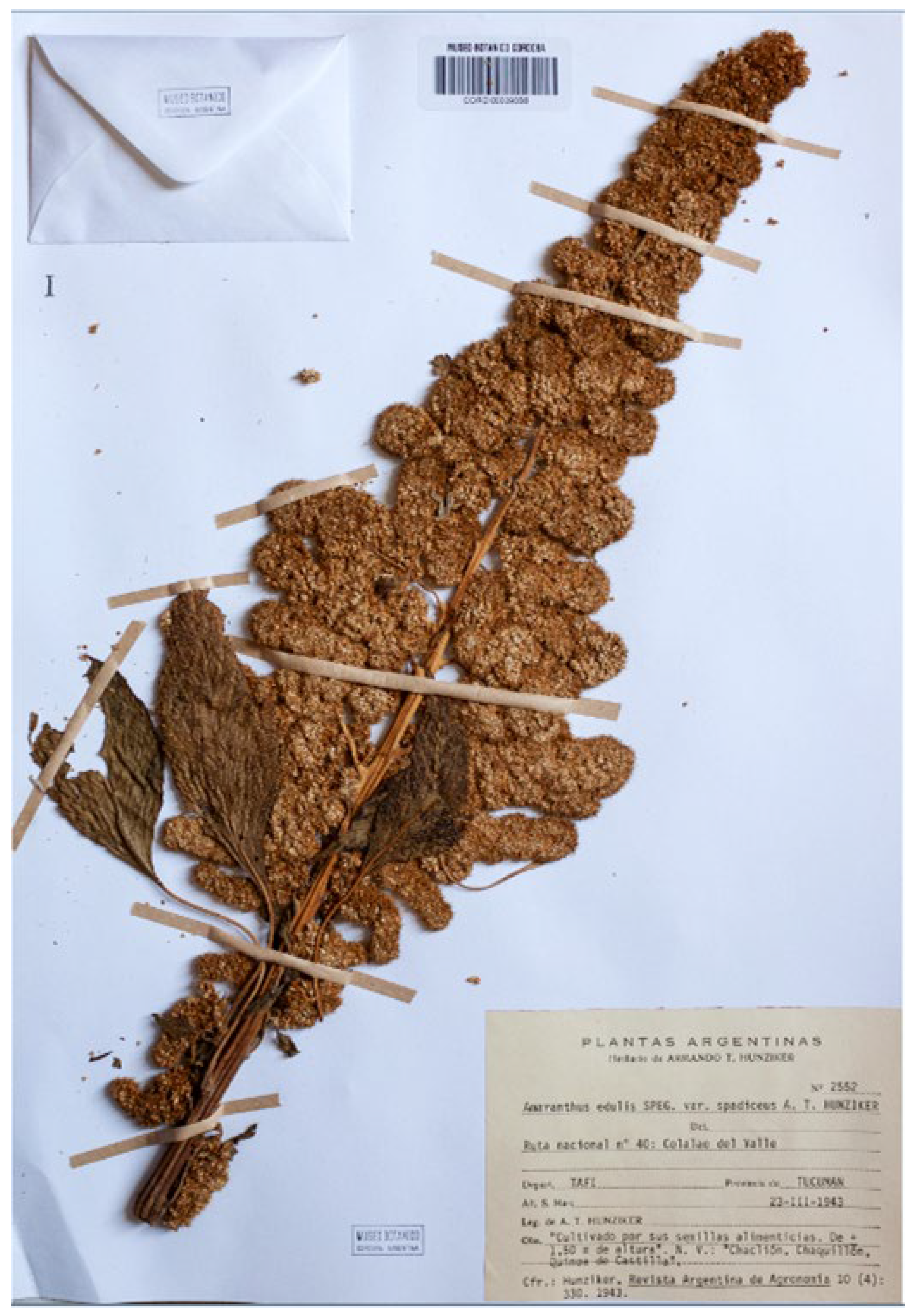 Plants 12 01566 g008