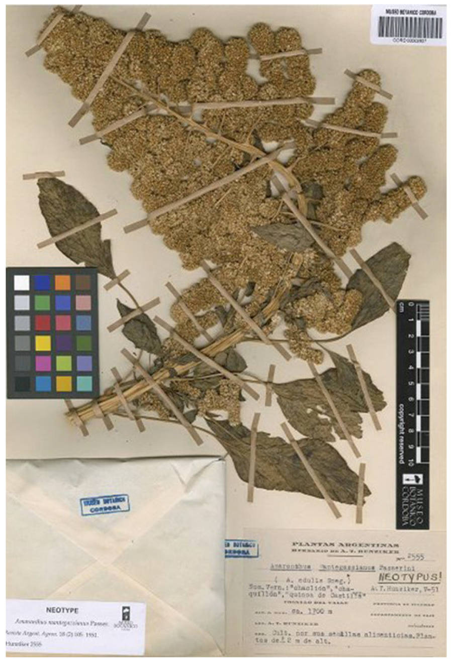 Plants 12 01566 g009