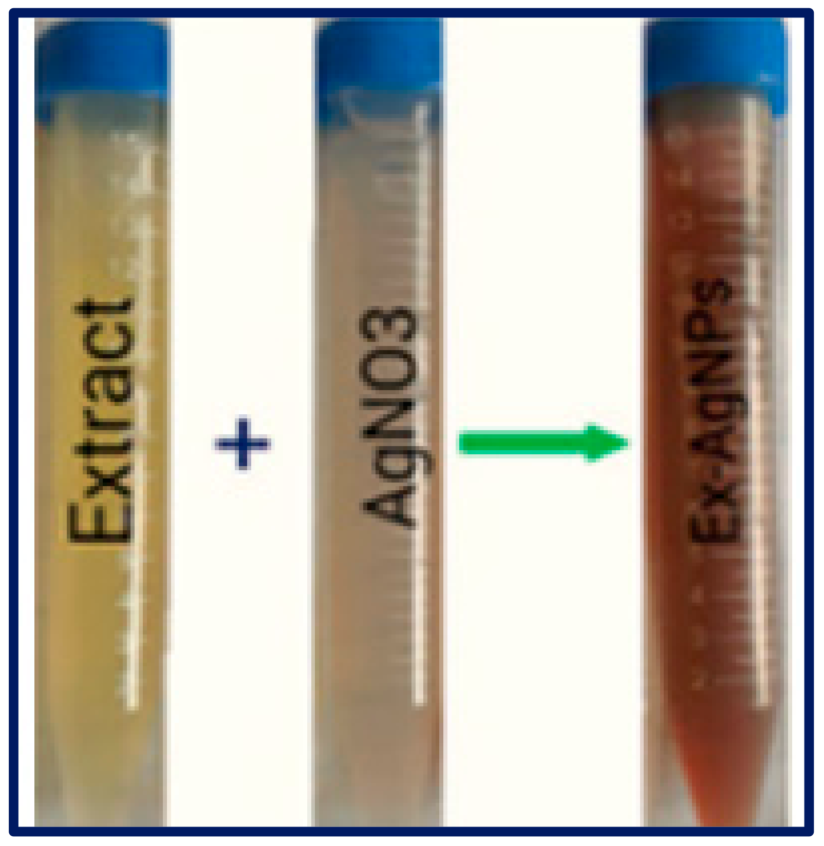 Plants 12 01578 g001