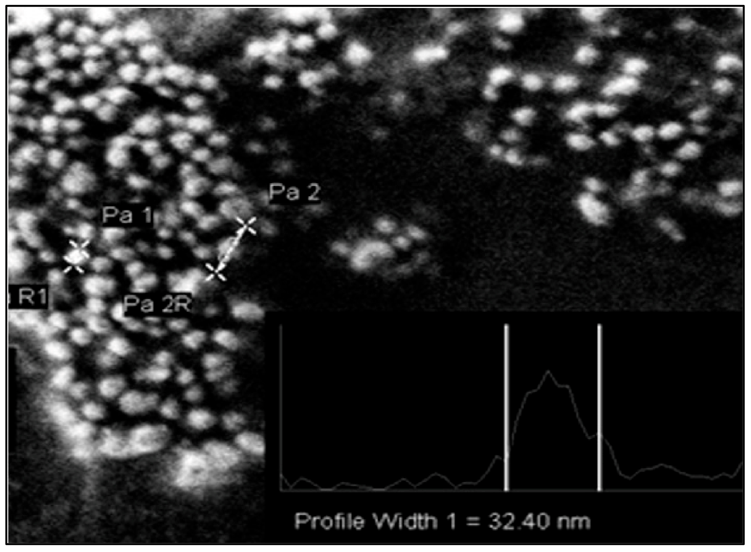 Plants 12 01578 g005
