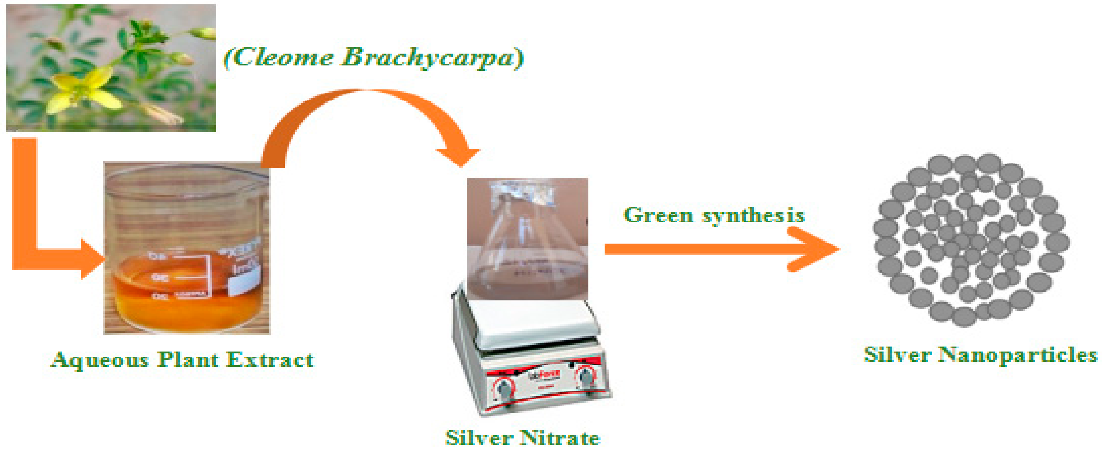 Plants 12 01578 sch002