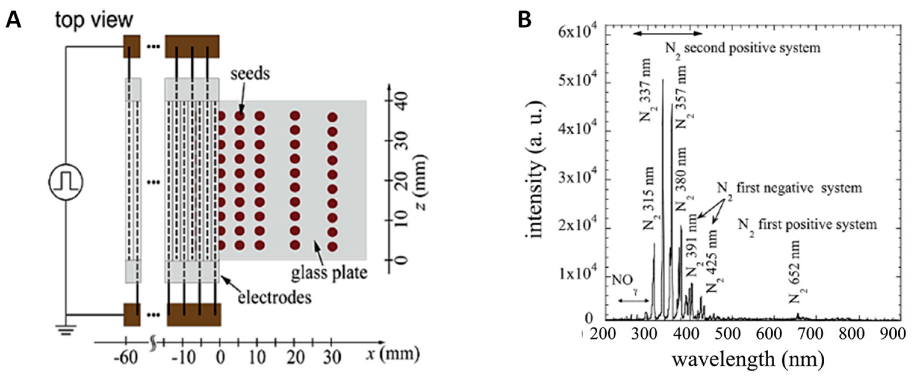 Plants 12 01585 g008