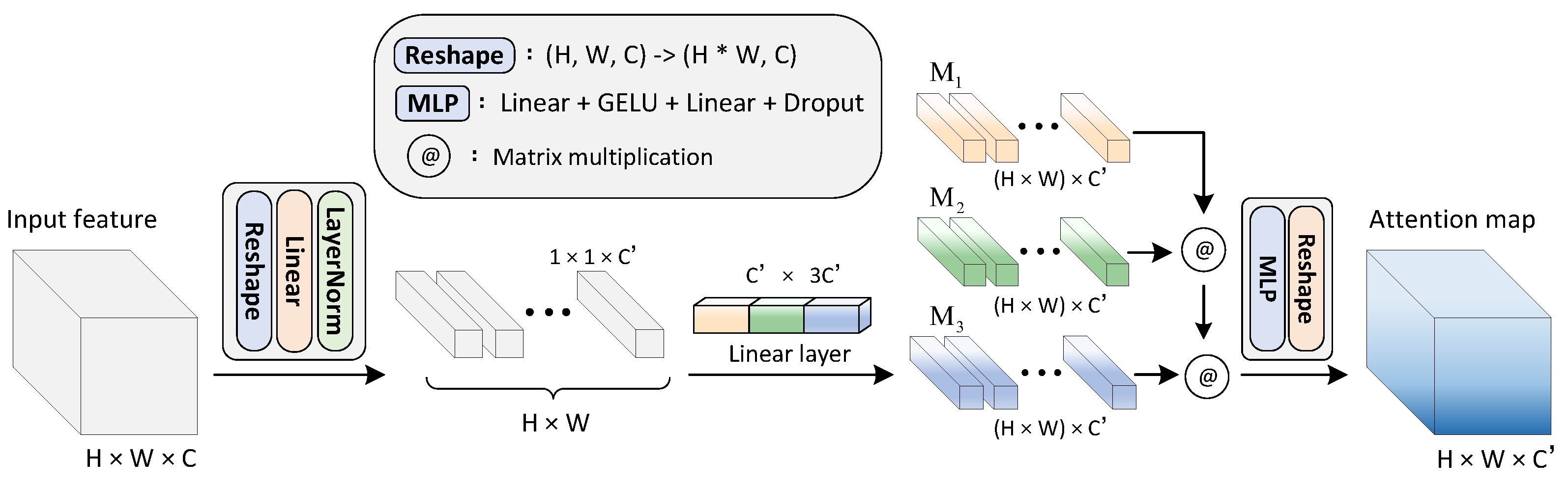 Plants 12 01595 g001
