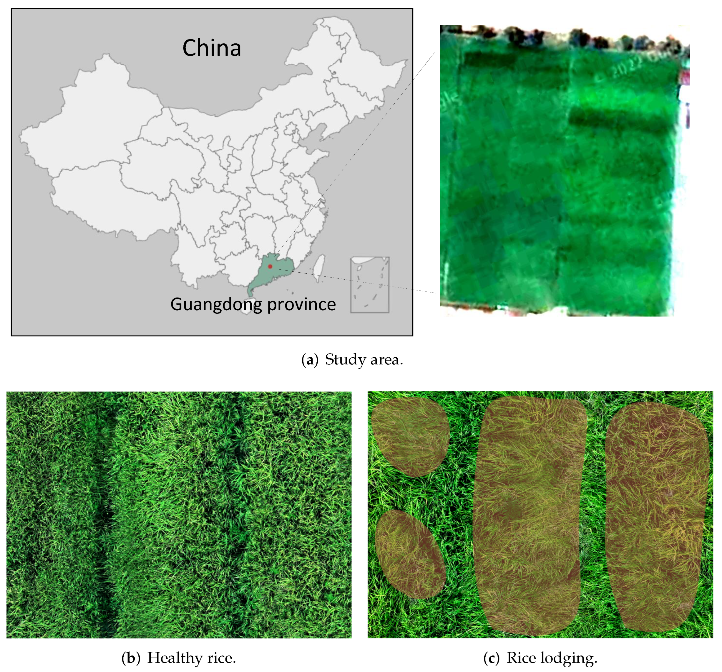 Plants 12 01595 g002