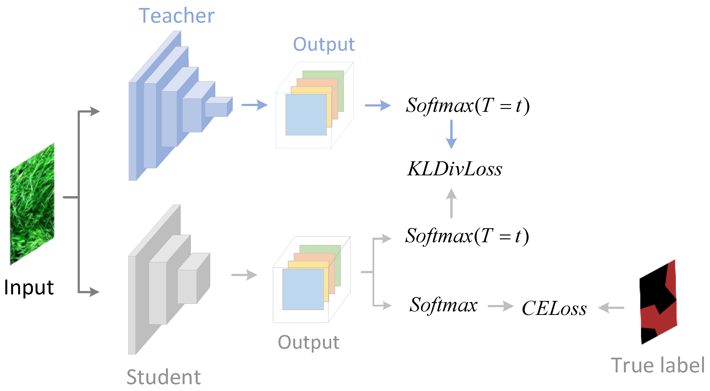 Plants 12 01595 g005