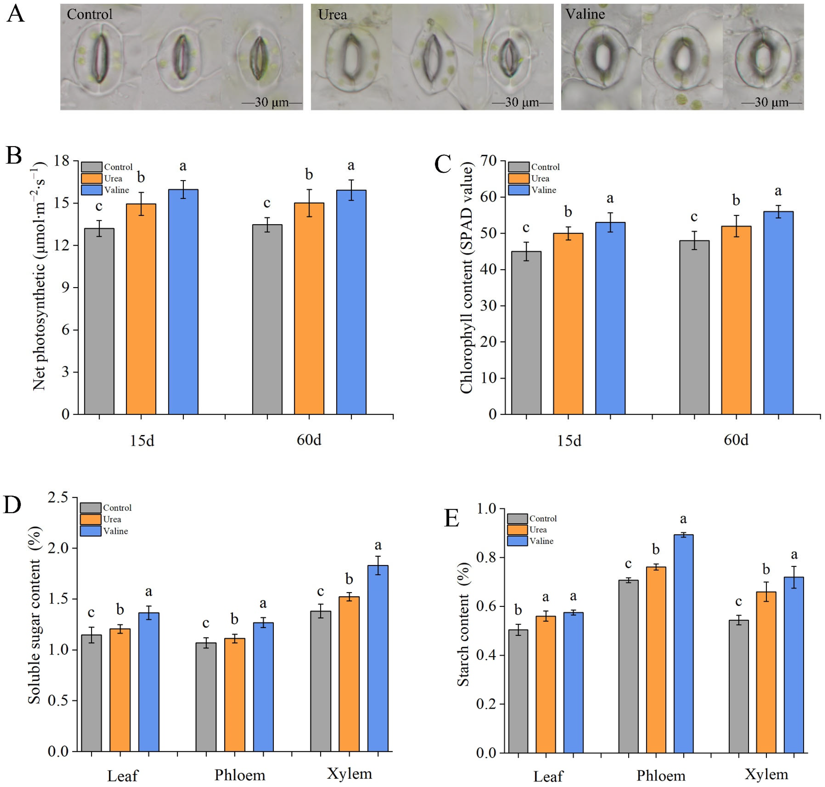Plants 12 01596 g004 Plants 12 01596 g004